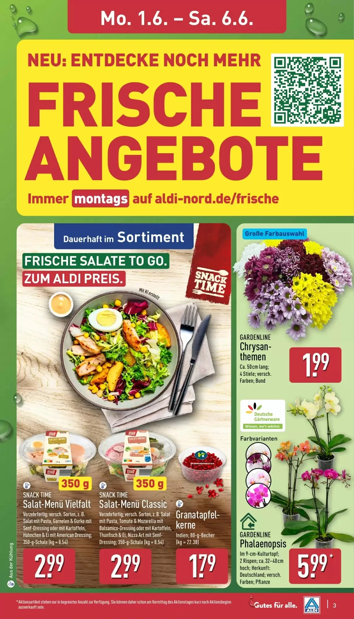 Aldi Nord, Seite 3 von 37