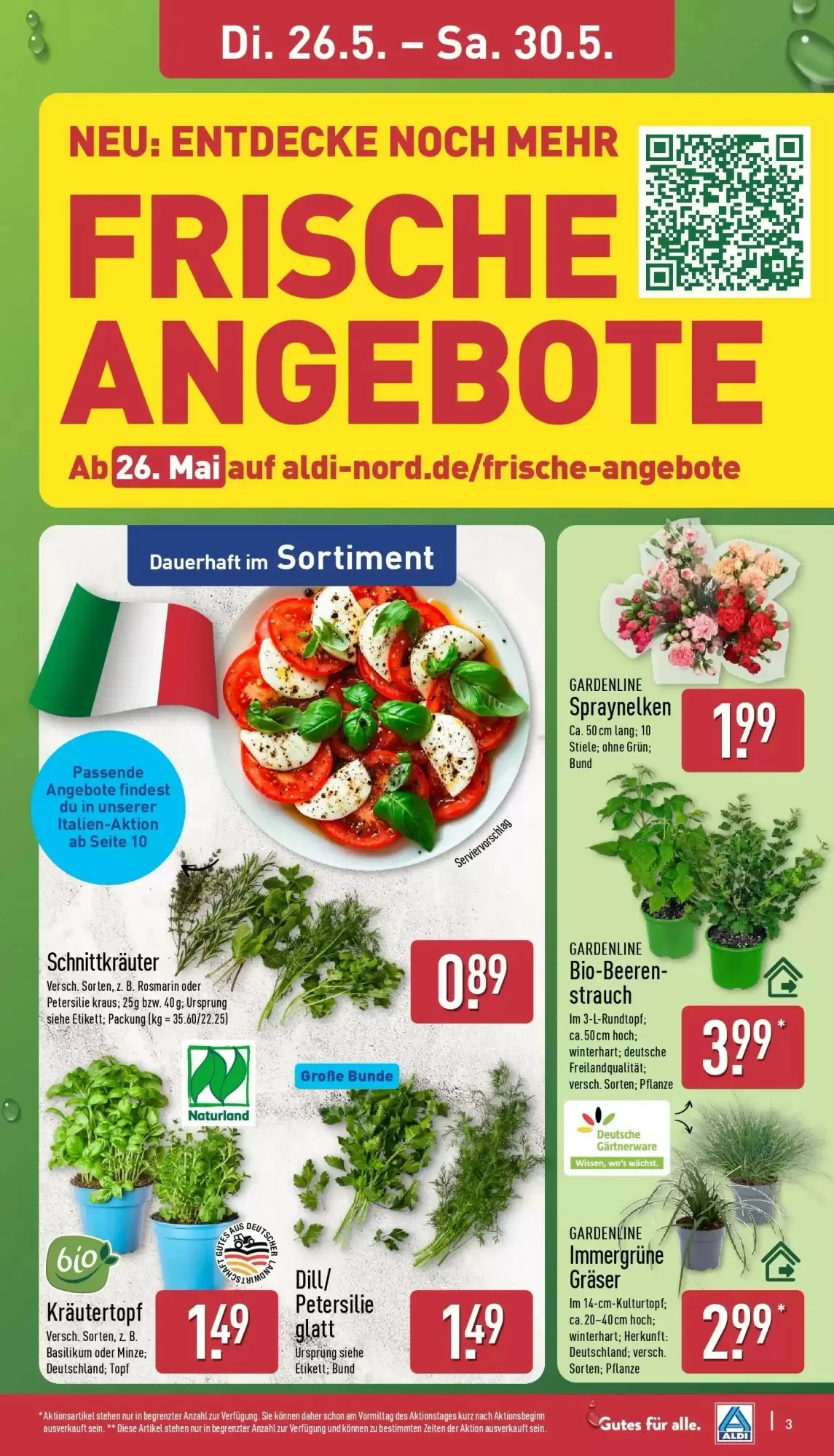 Aldi Nord, Seite 3 von 42