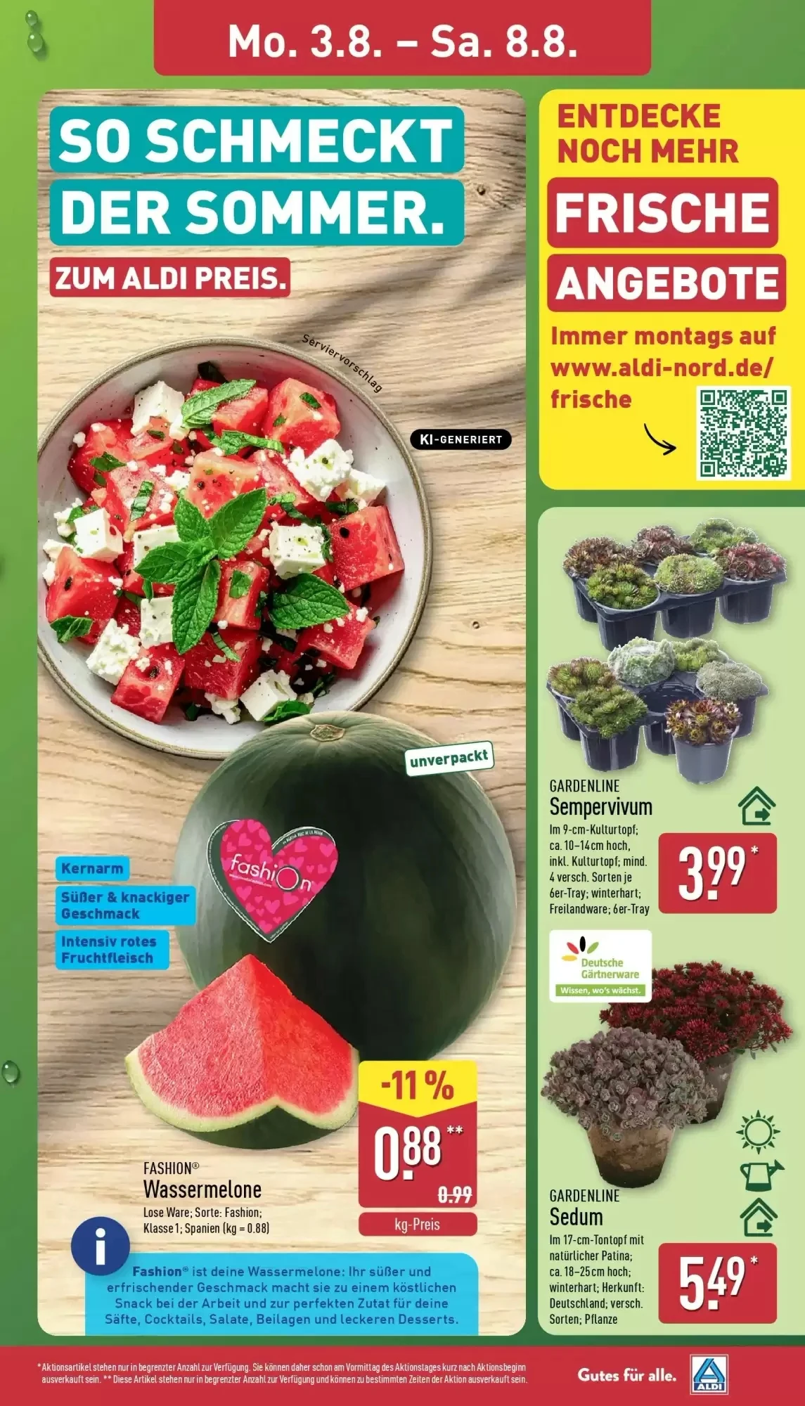 Aldi Nord, Seite 3 von 41