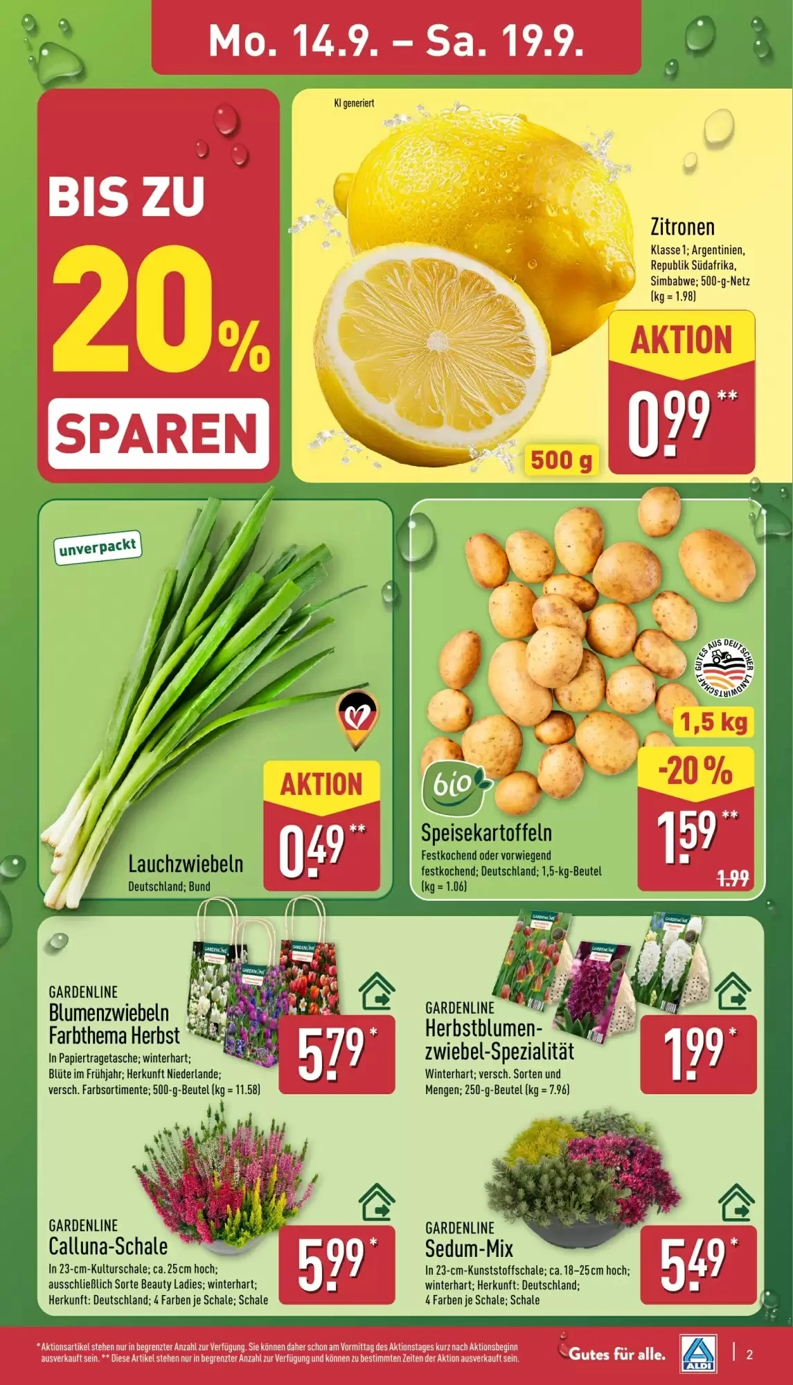 Aldi Nord, Seite 3 von 45