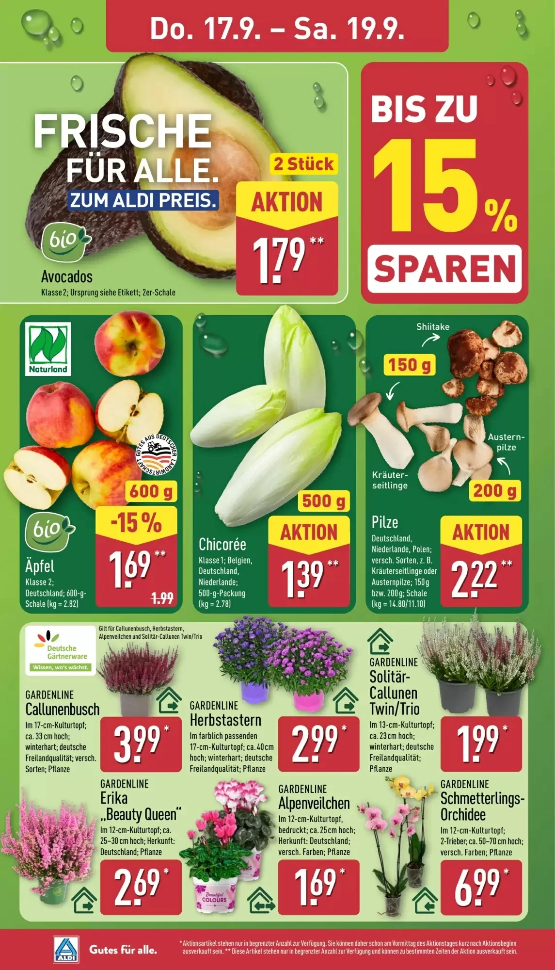 Aldi Nord, Seite 30 von 45