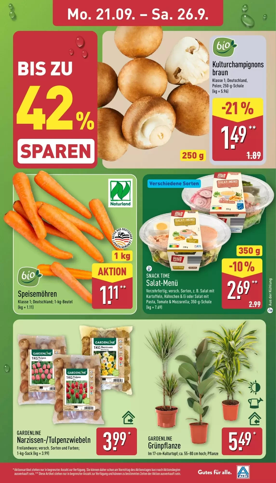 Aldi Nord, Seite 3 von 41