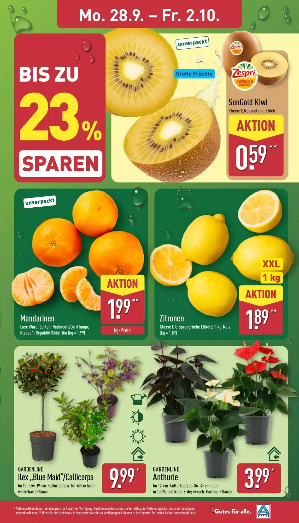 Aldi Nord, Seite 3 von 42