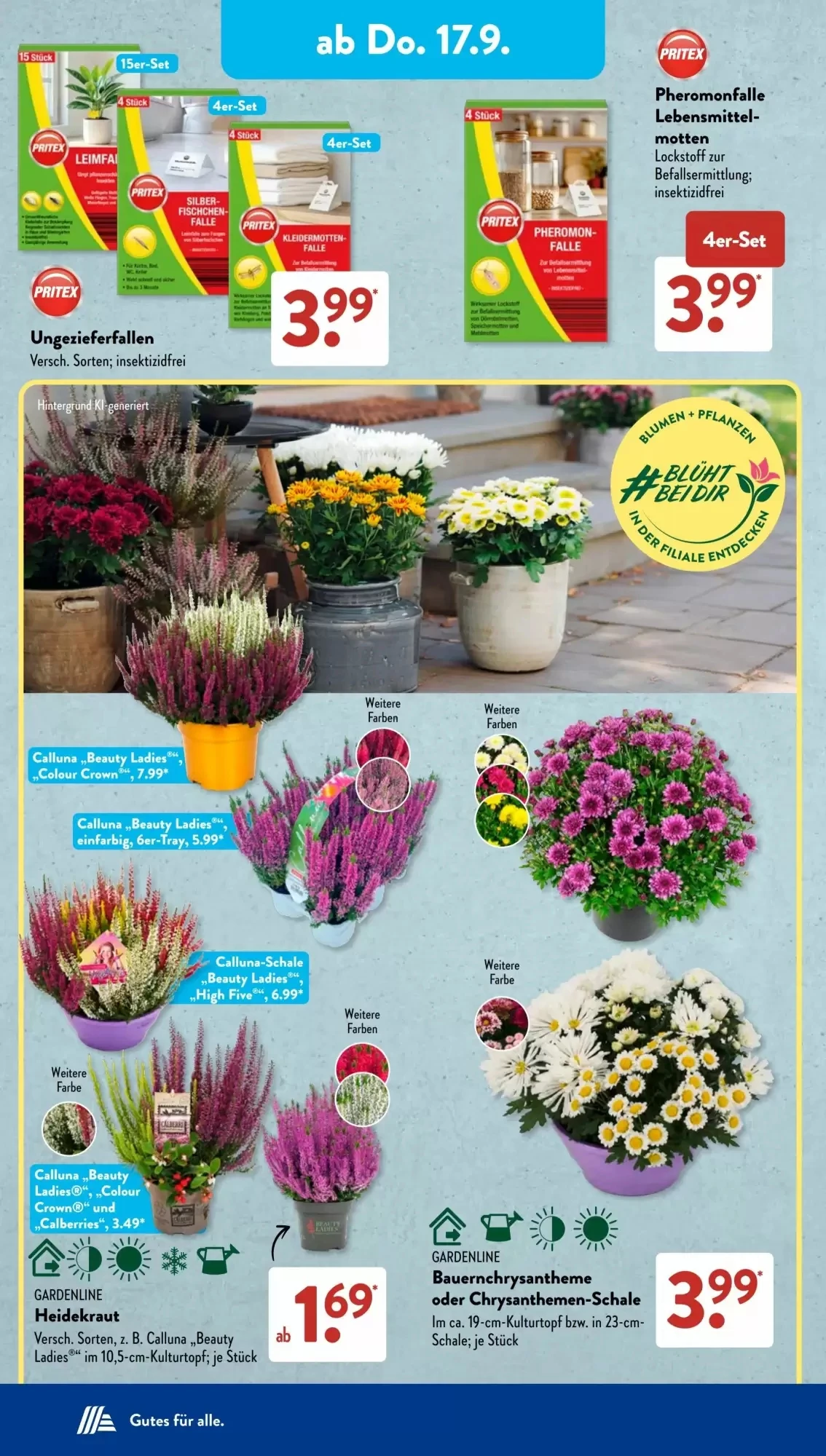 Aldi Süd, Seite 12 von 23