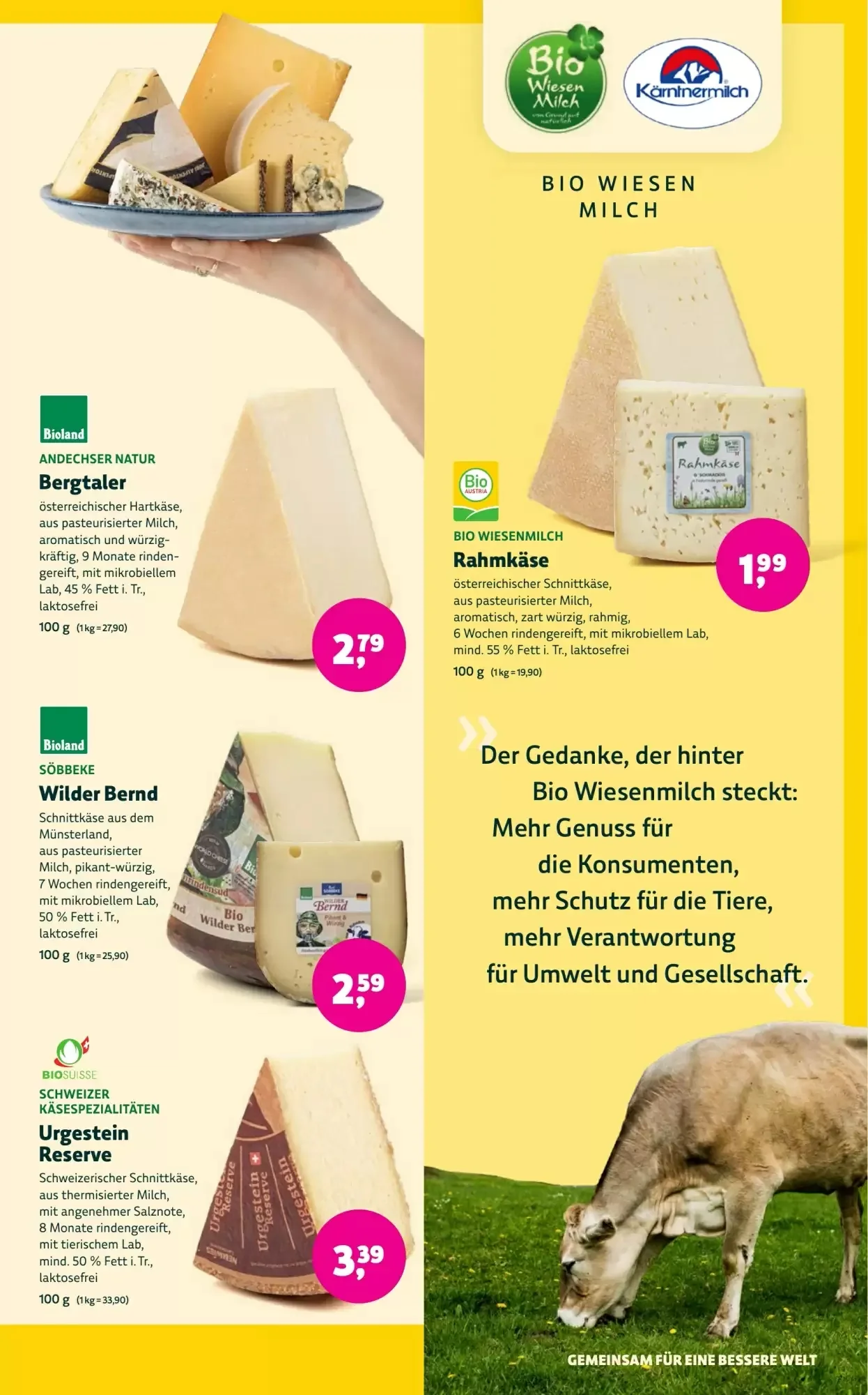 Aleco Biomarkt, Seite 7 von 14