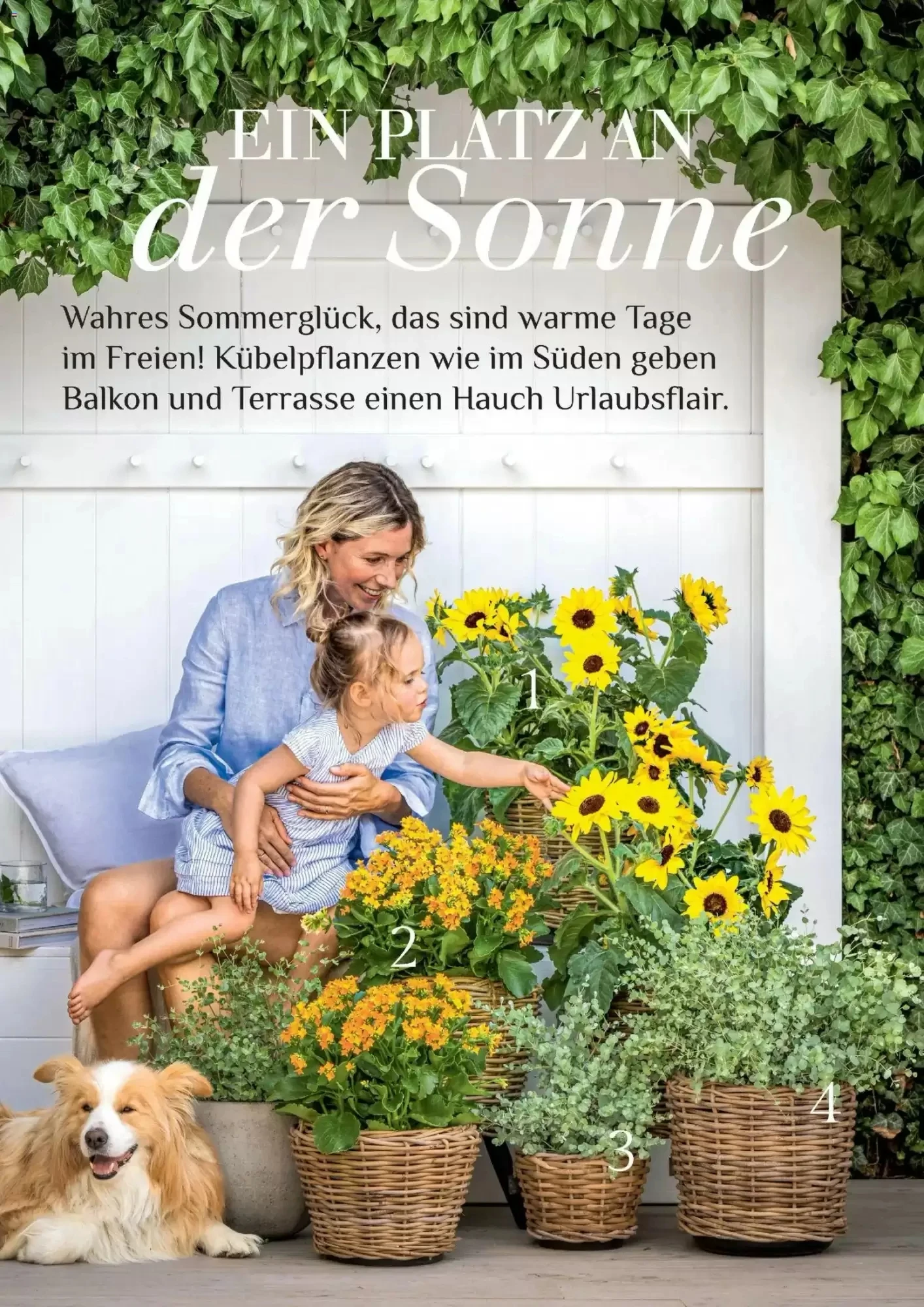 Dehner, Seite 30 von 100