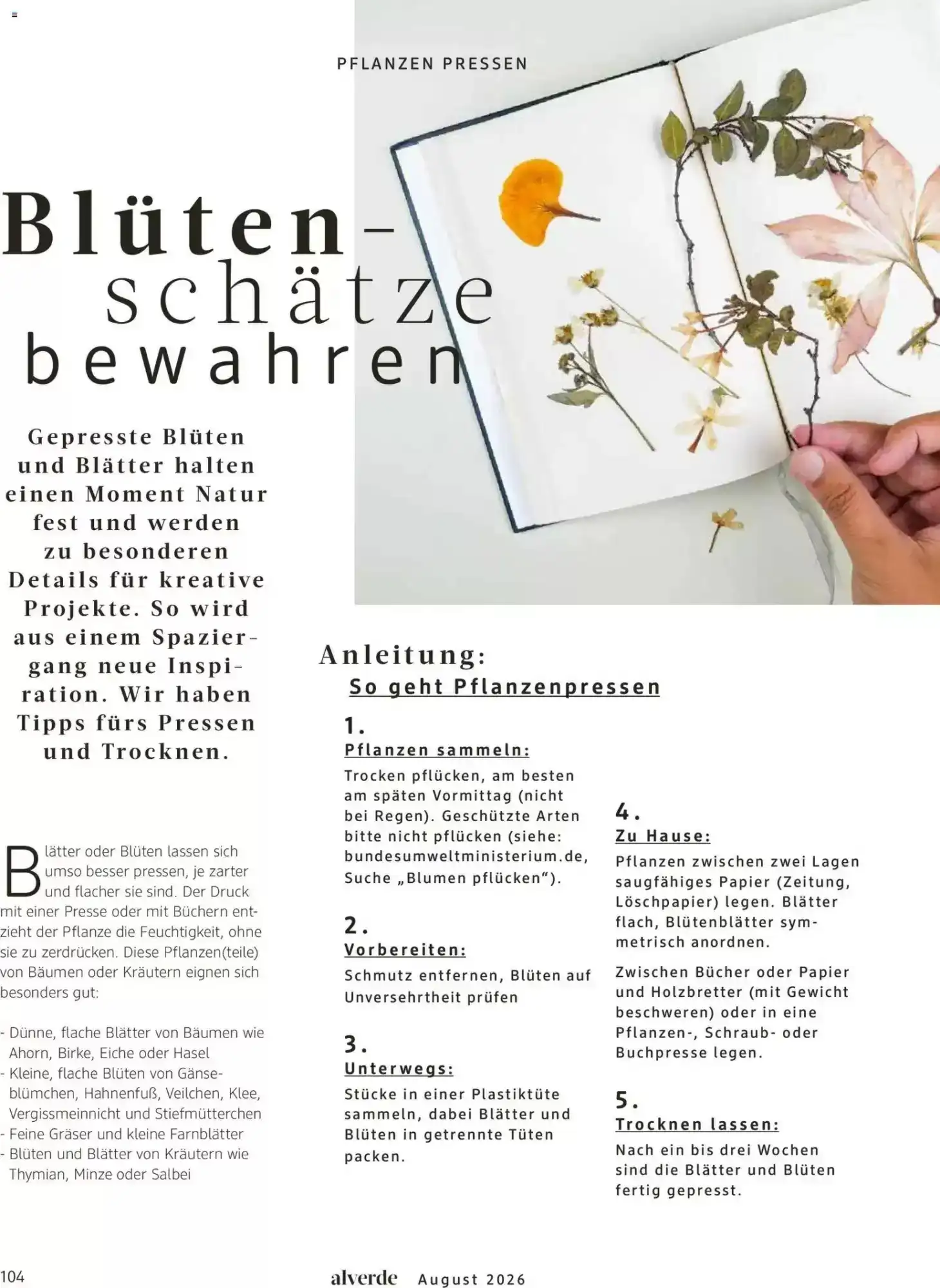 dm drogerie, Seite 104 von 108