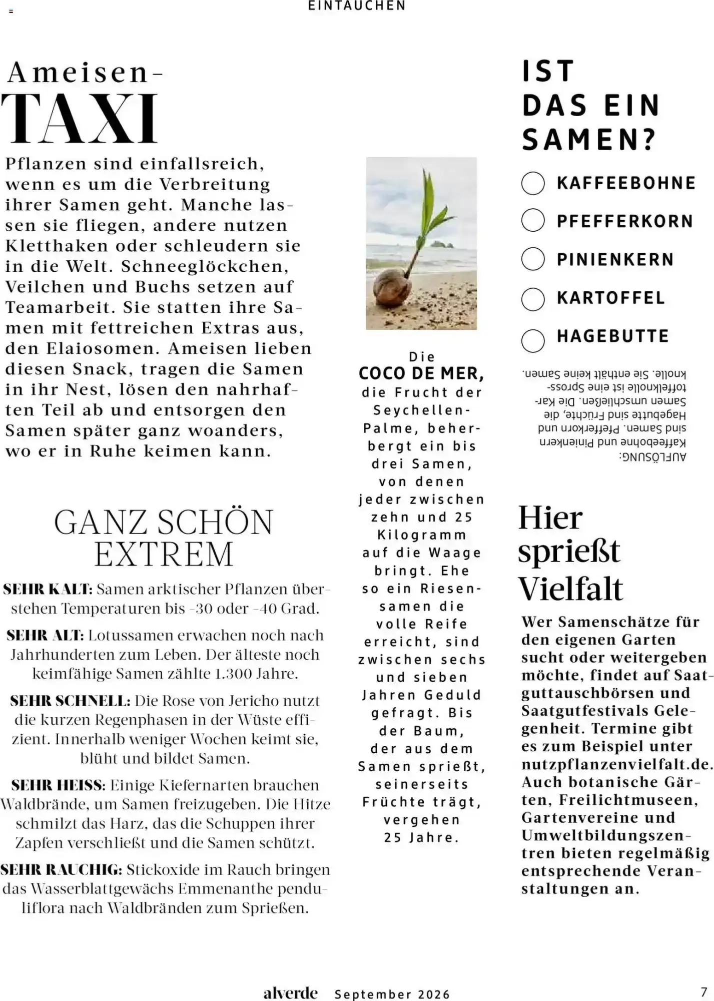 dm drogerie, Seite 7 von 108