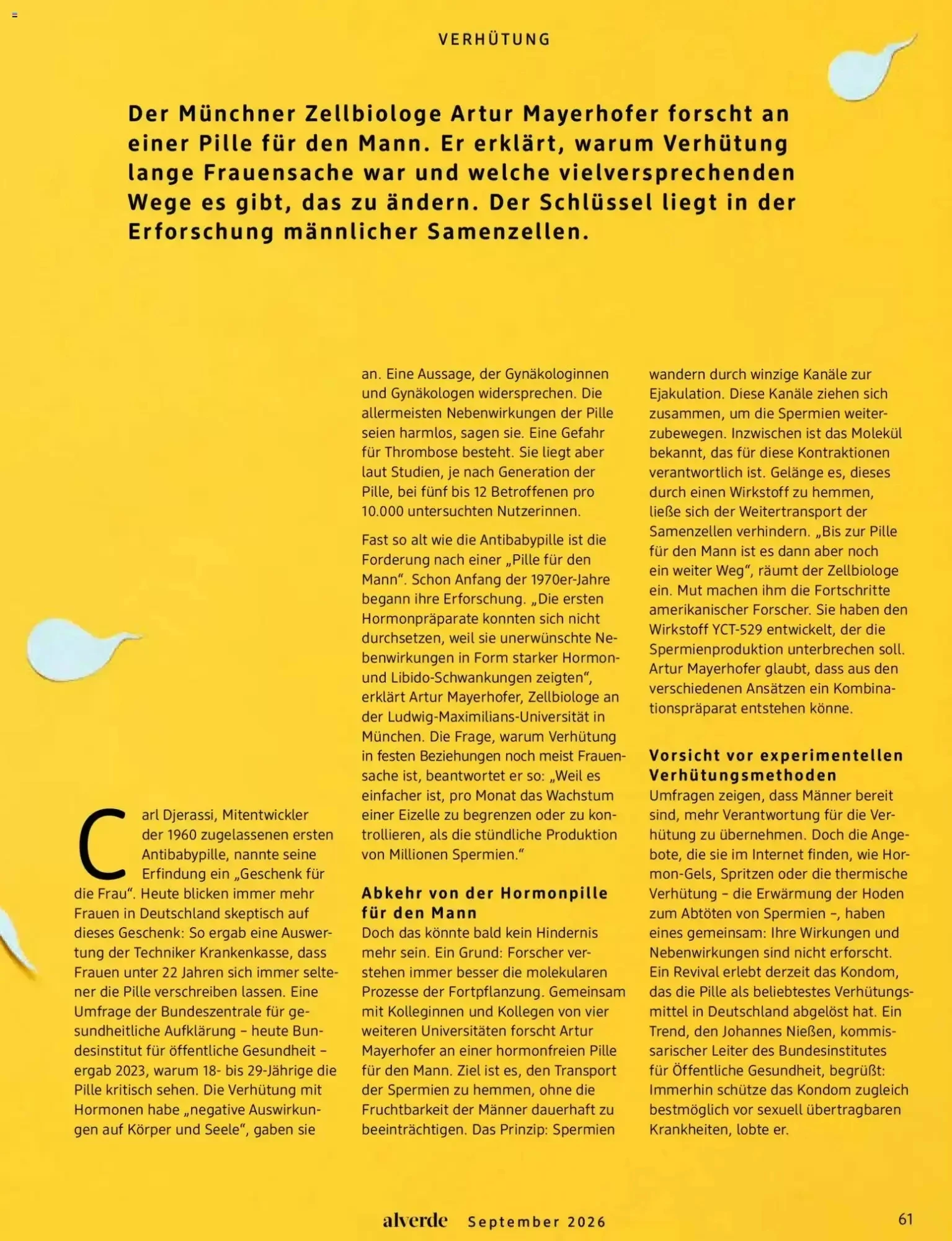 dm drogerie, Seite 61 von 108