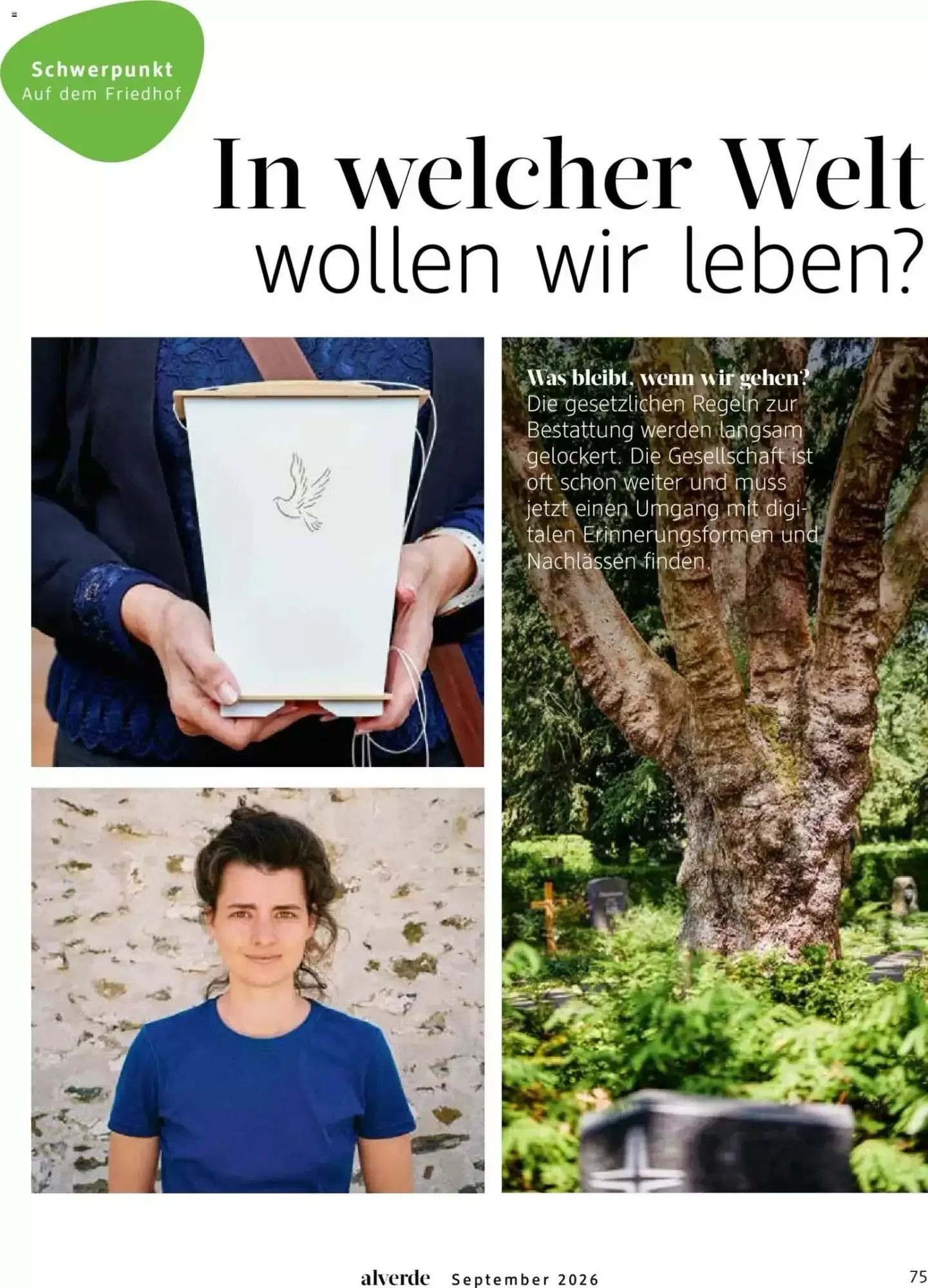 dm drogerie, Seite 75 von 108