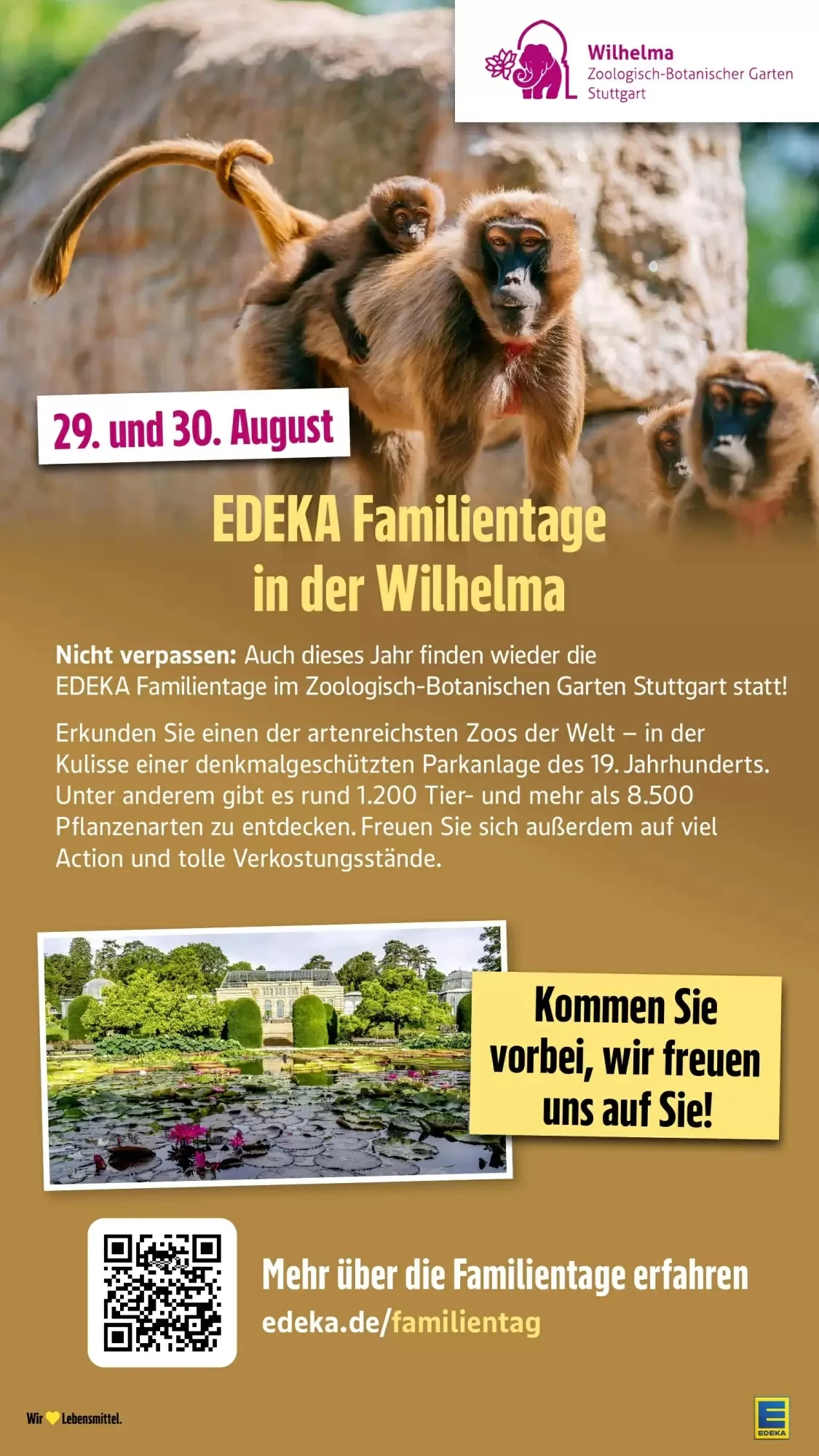 EDEKA Berger, Seite 39 von 40