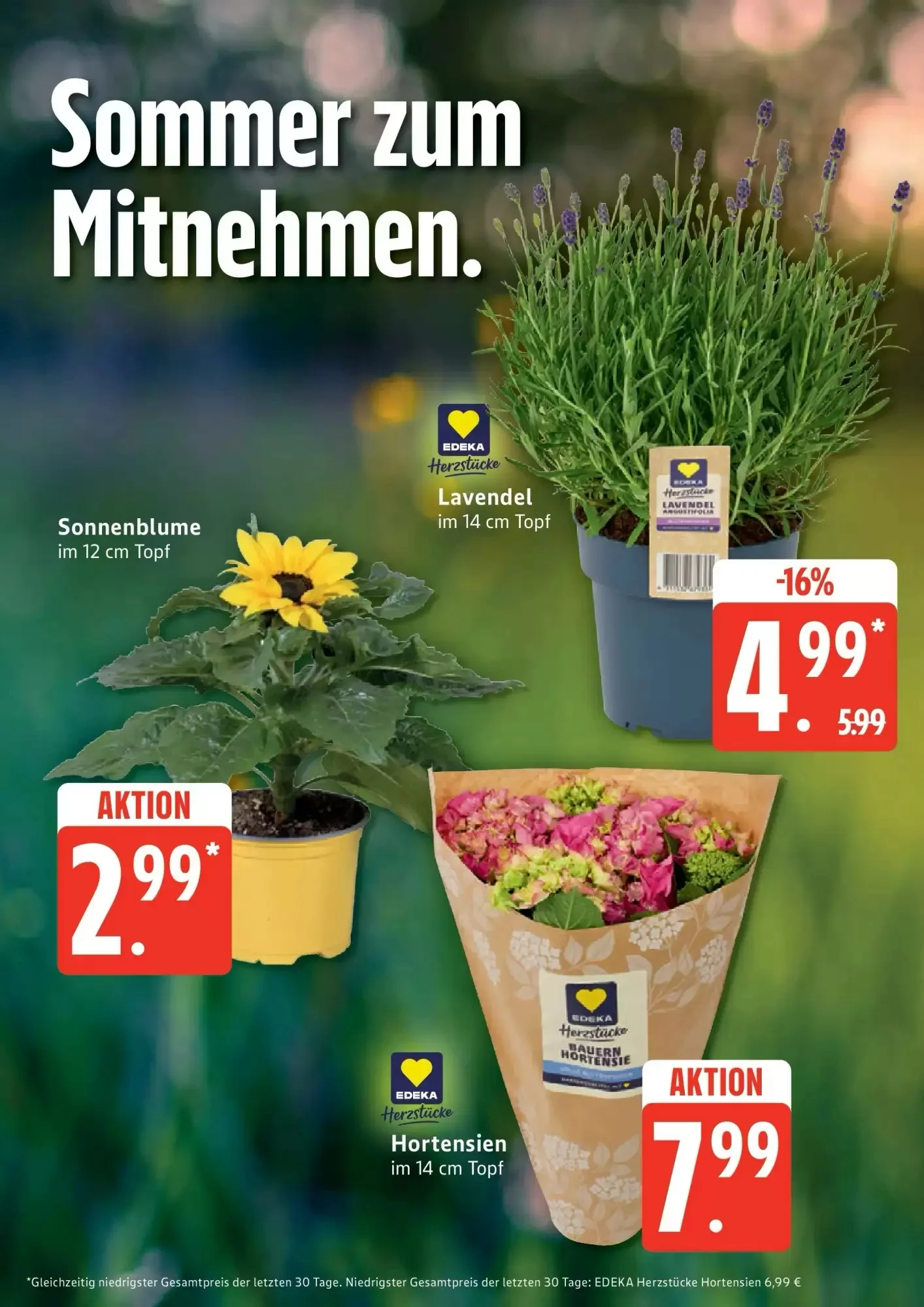 Edeka, Seite 9 von 31