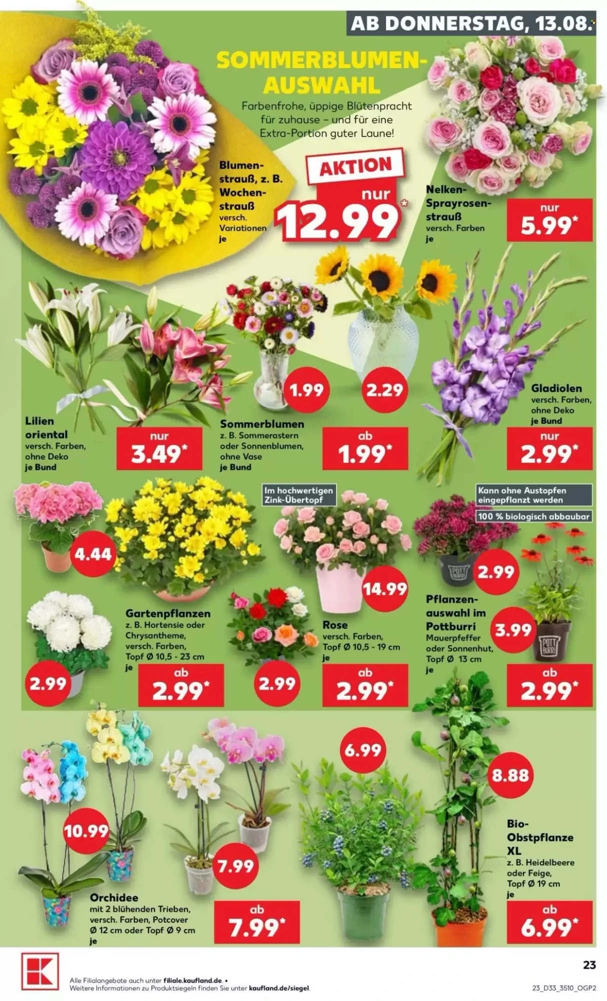 Kaufland, Seite 23 von 54