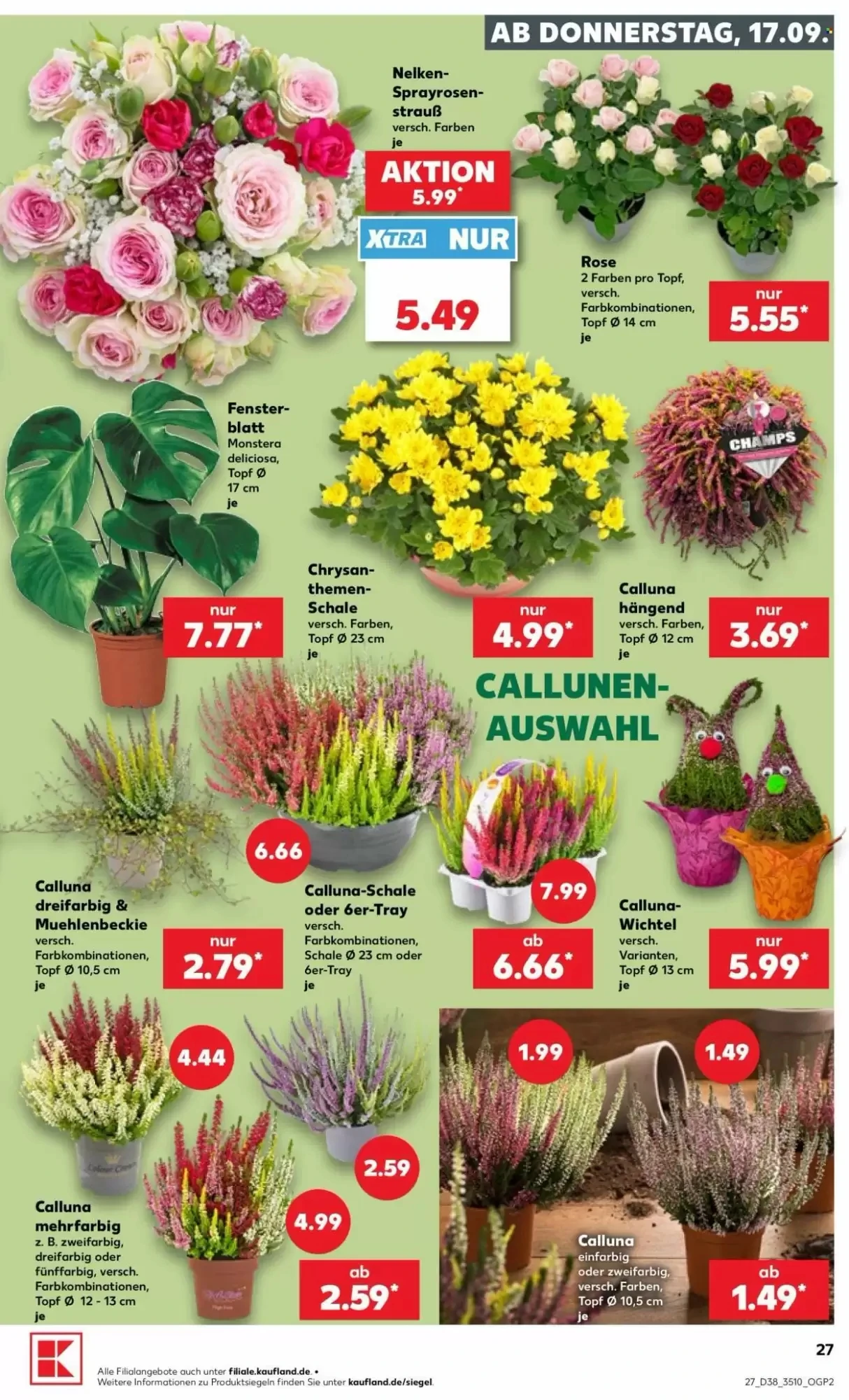 Kaufland, Seite 27 von 66