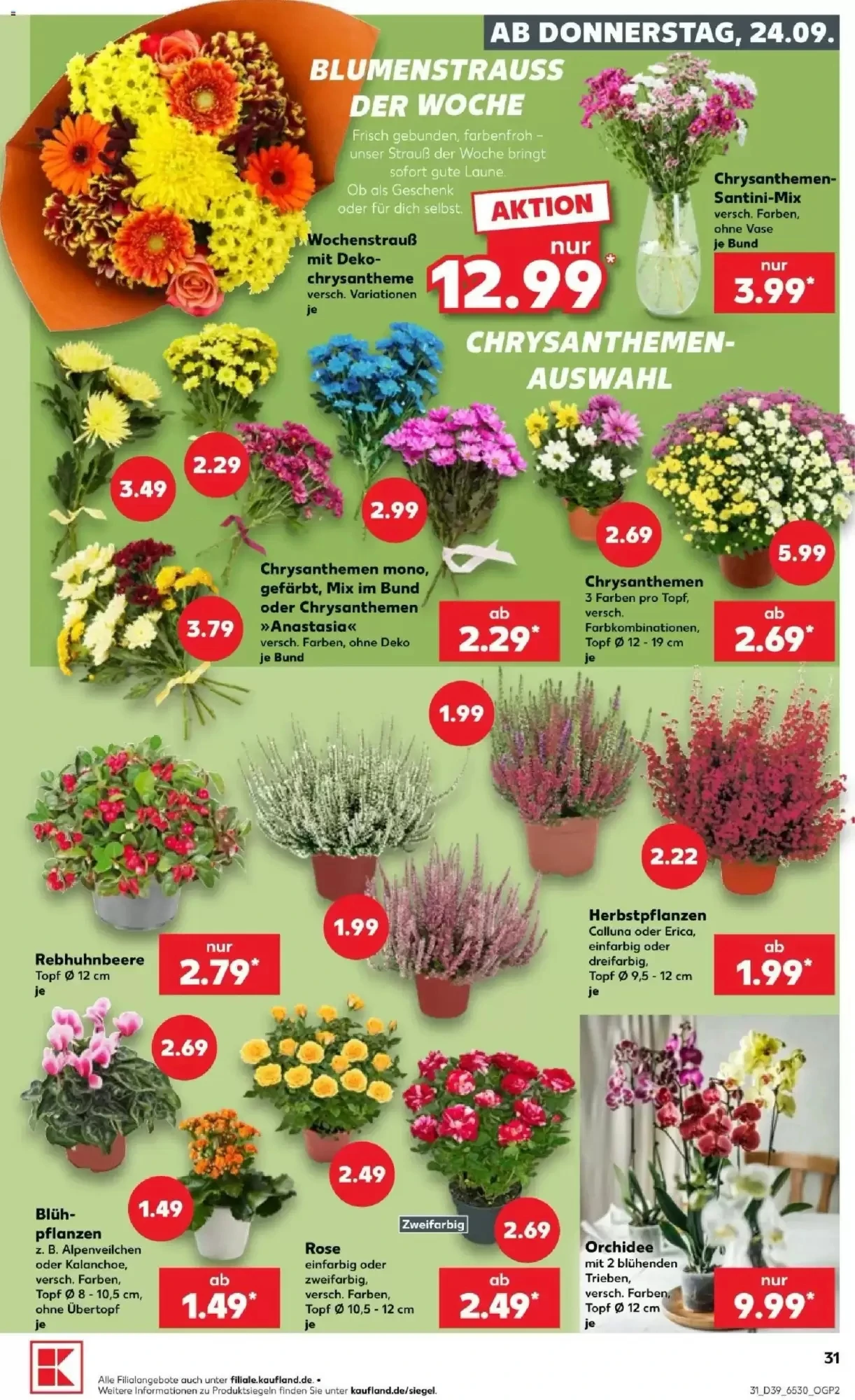 Kaufland, Seite 31 von 72