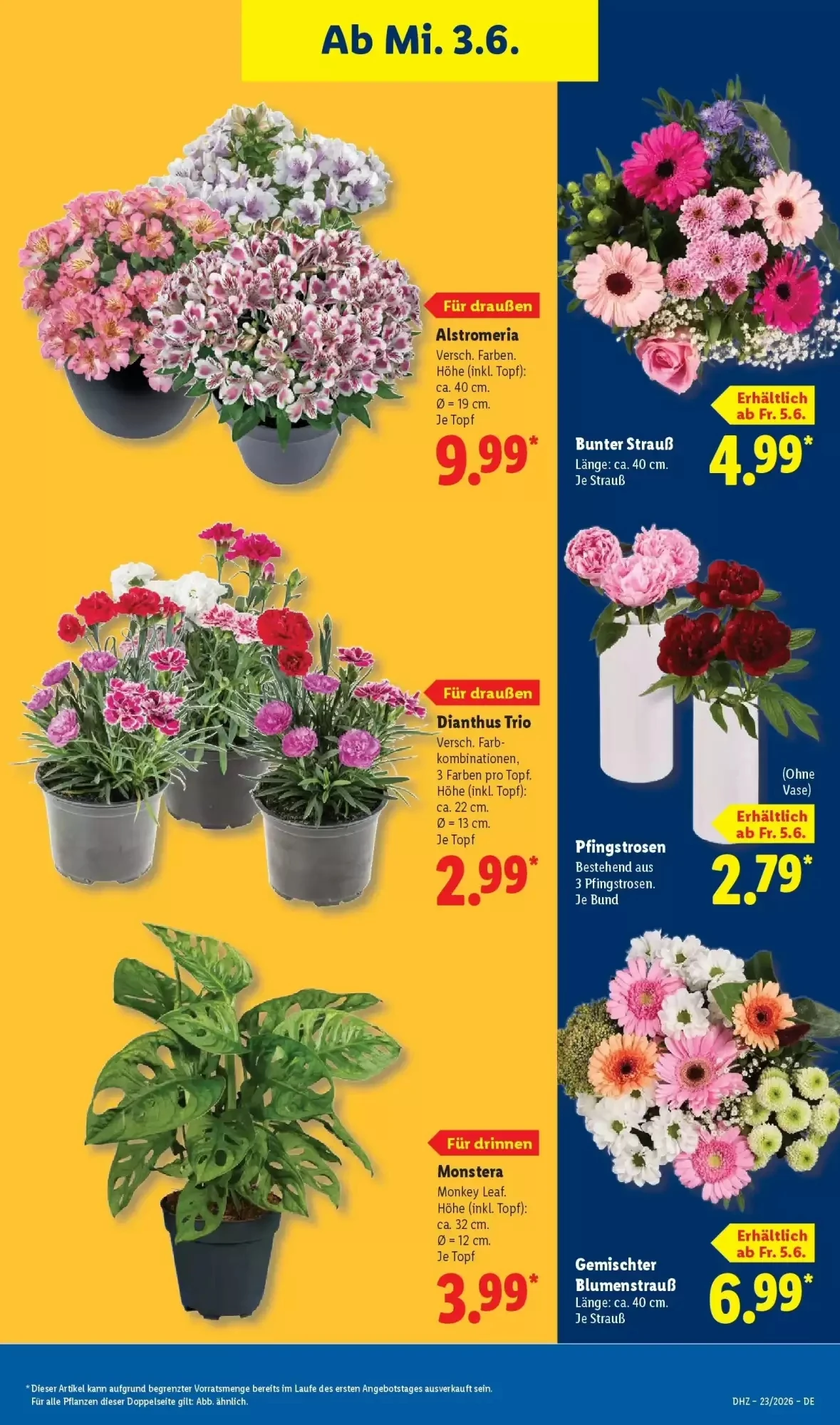 Lidl, Seite 69 von 71