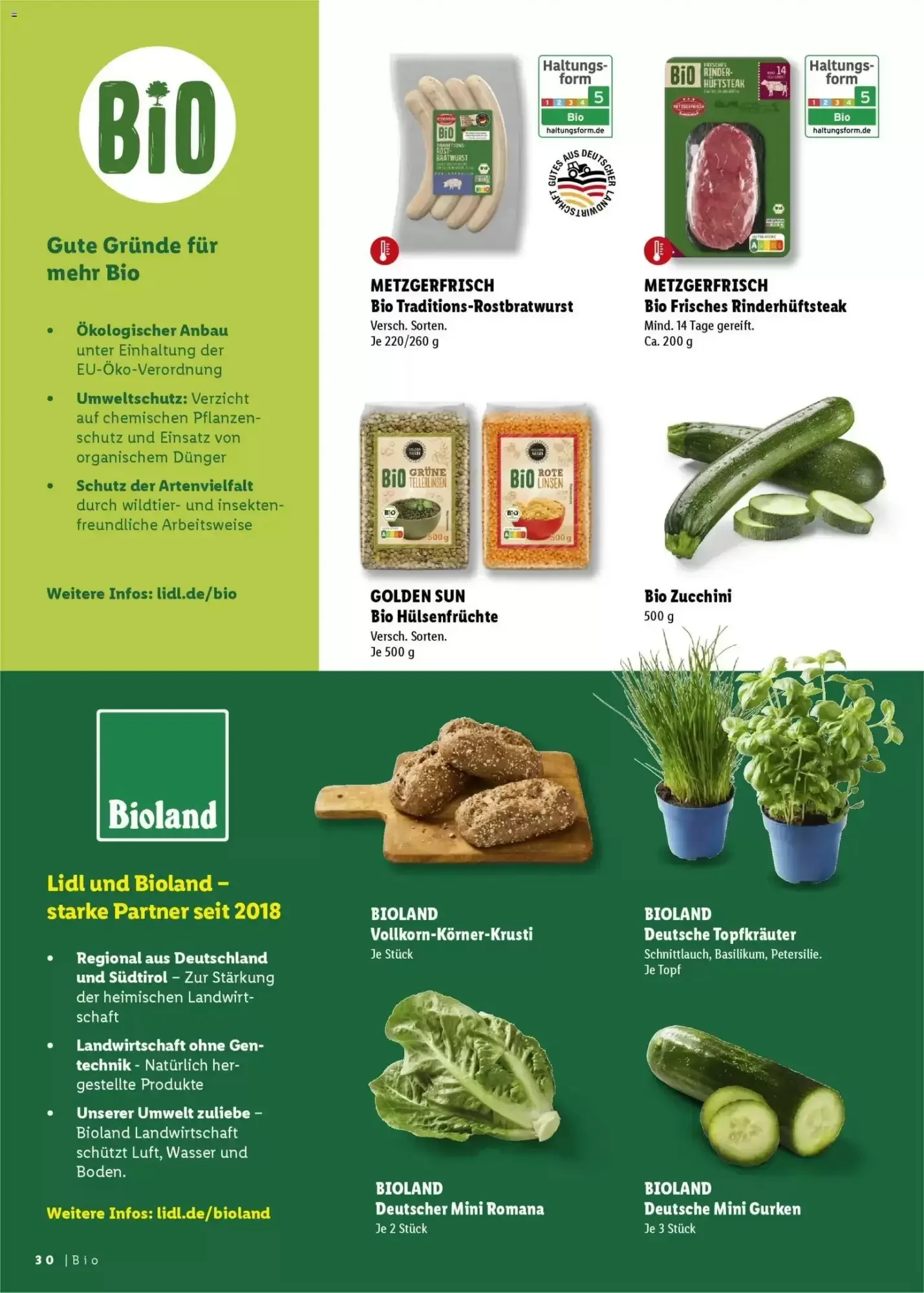 Lidl, Seite 30 von 41
