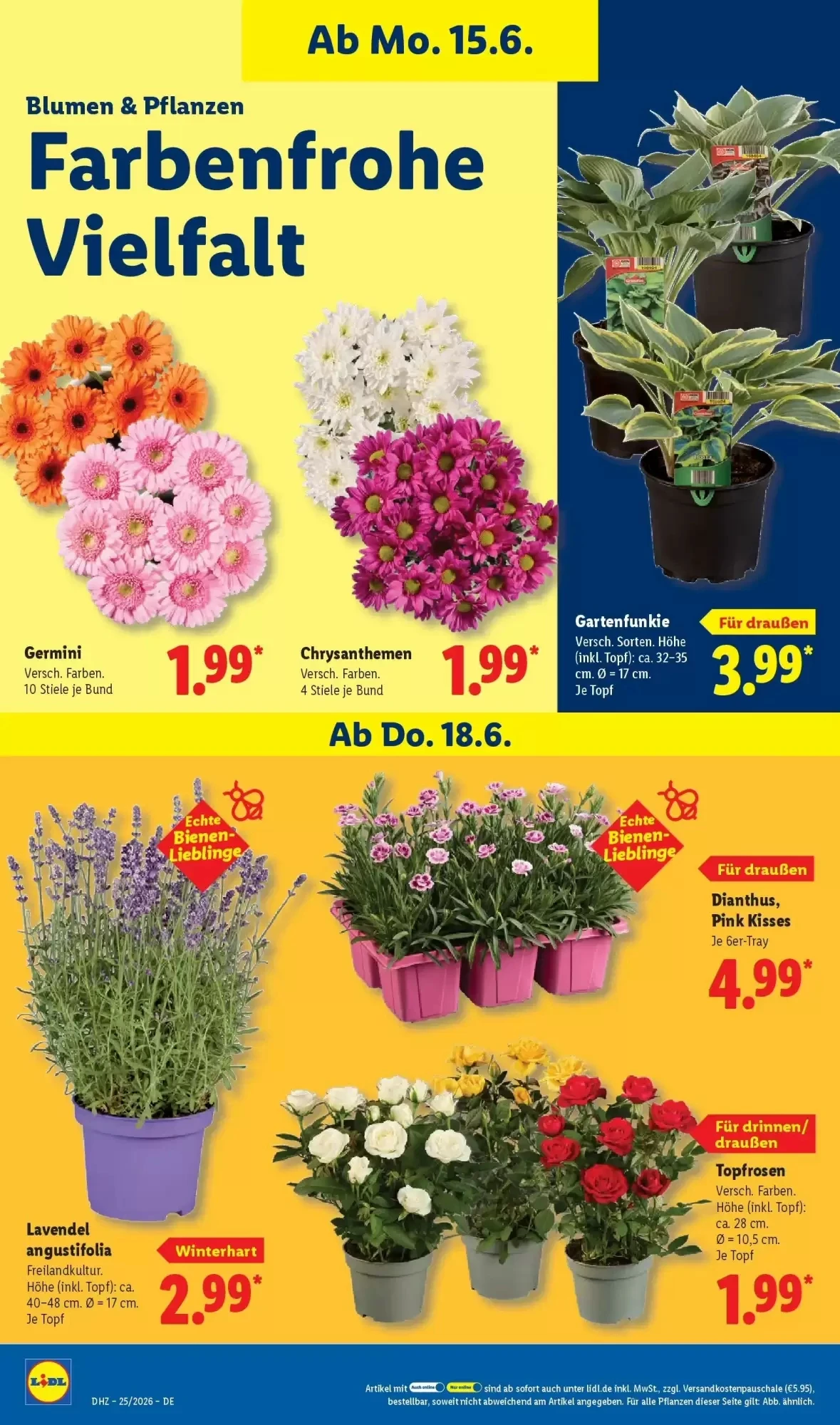 Lidl, Seite 74 von 74