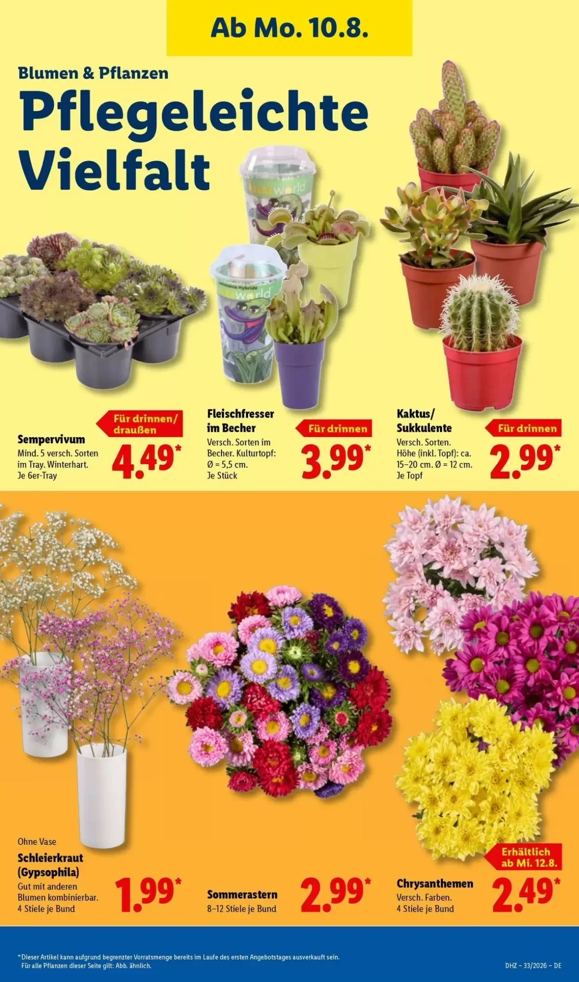 Lidl, Seite 23 von 73