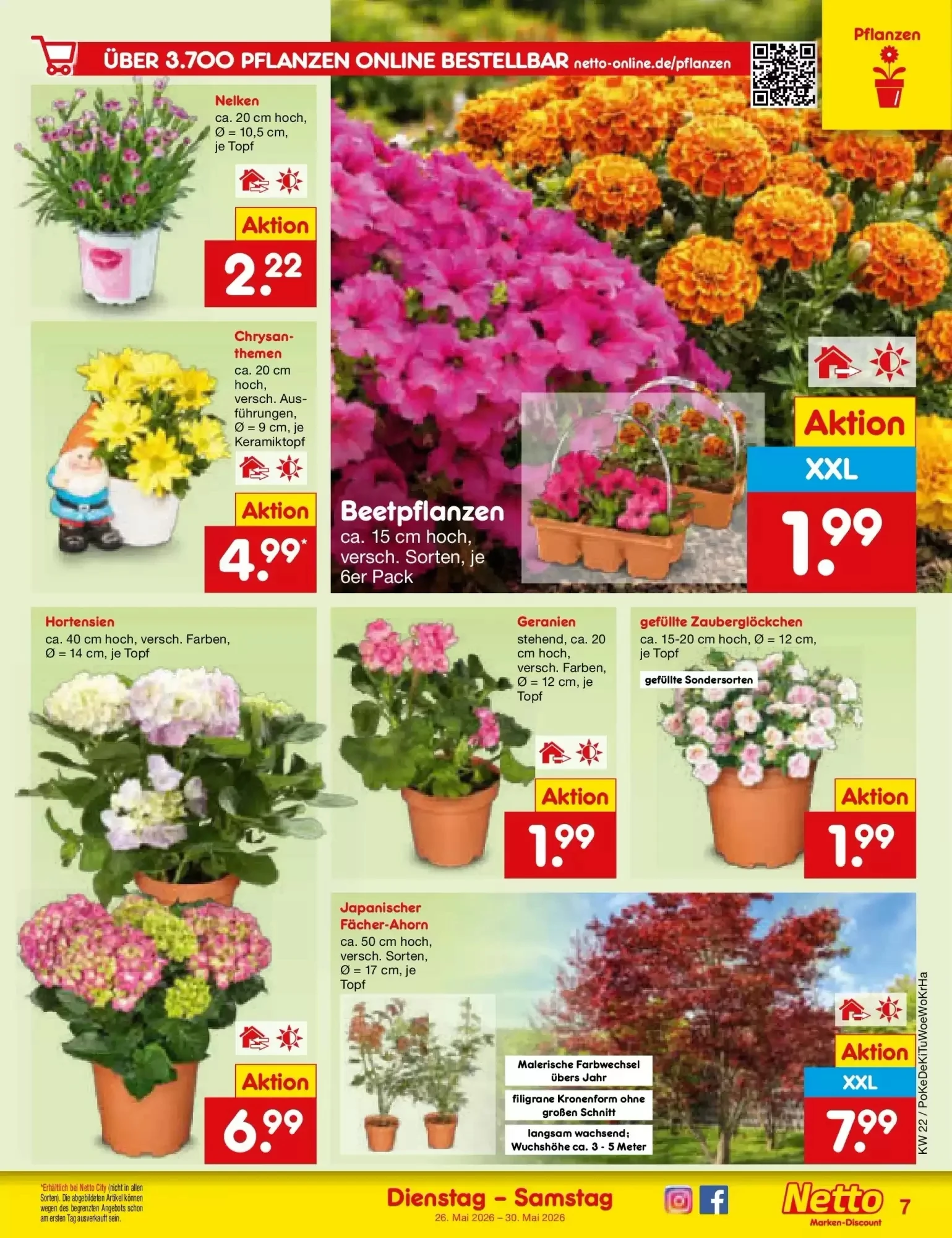 Netto Marken-Discount, Seite 9 von 58