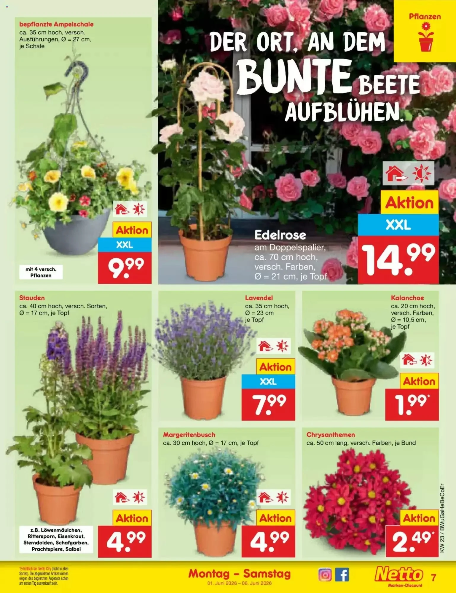 Netto Marken-Discount, Seite 7 von 66