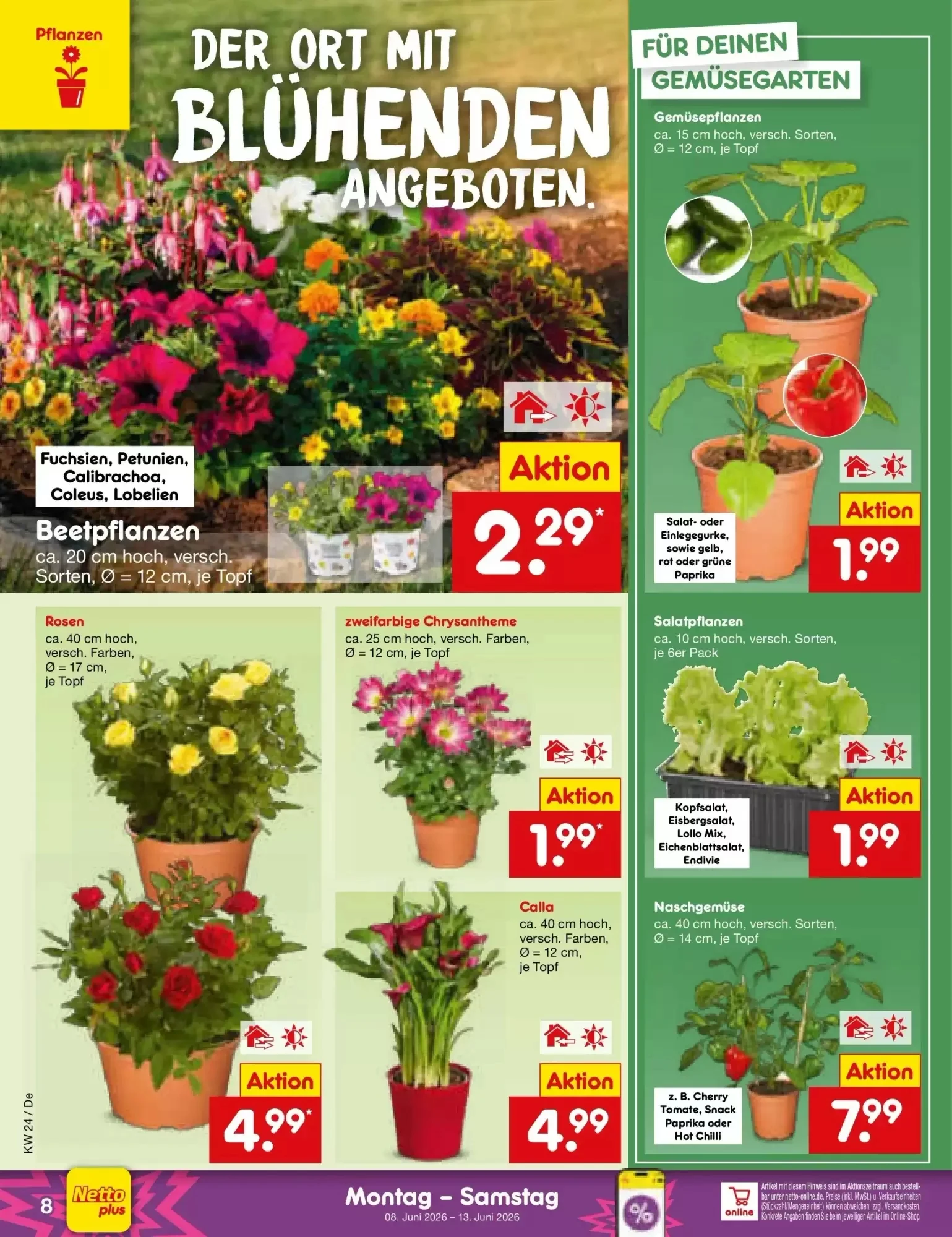 Netto Marken-Discount, Seite 12 von 65