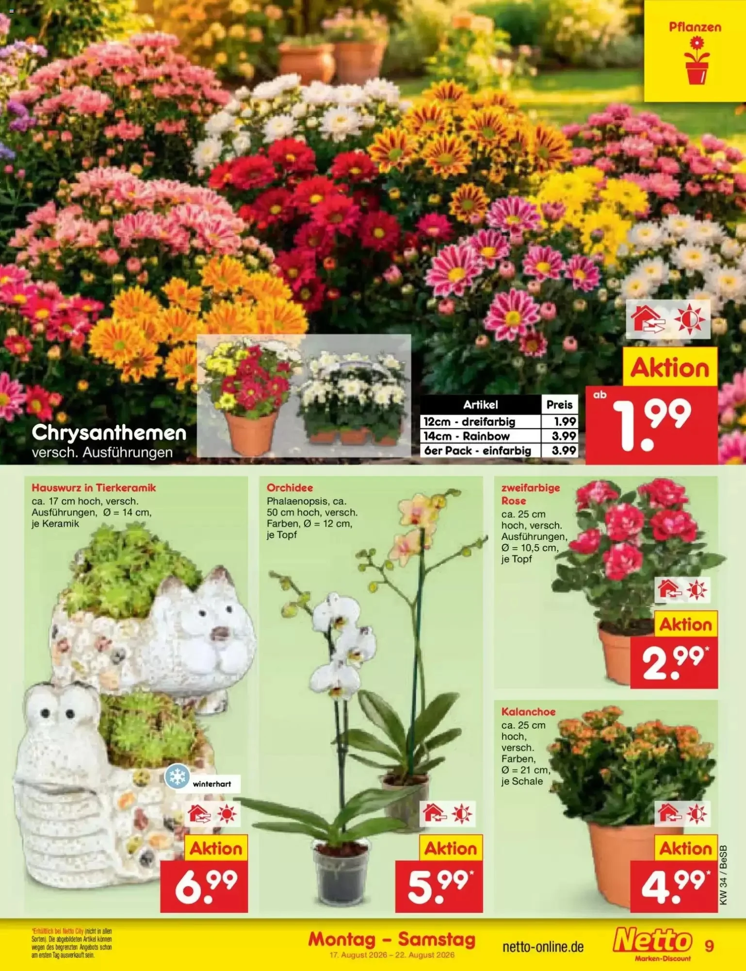 Netto Marken-Discount, Seite 11 von 65