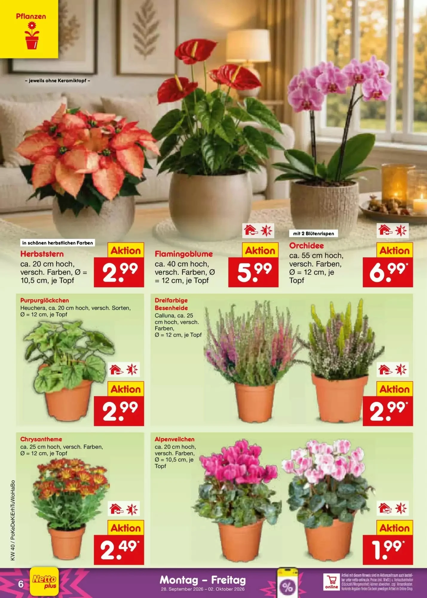 Netto Marken-Discount, Seite 6 von 7