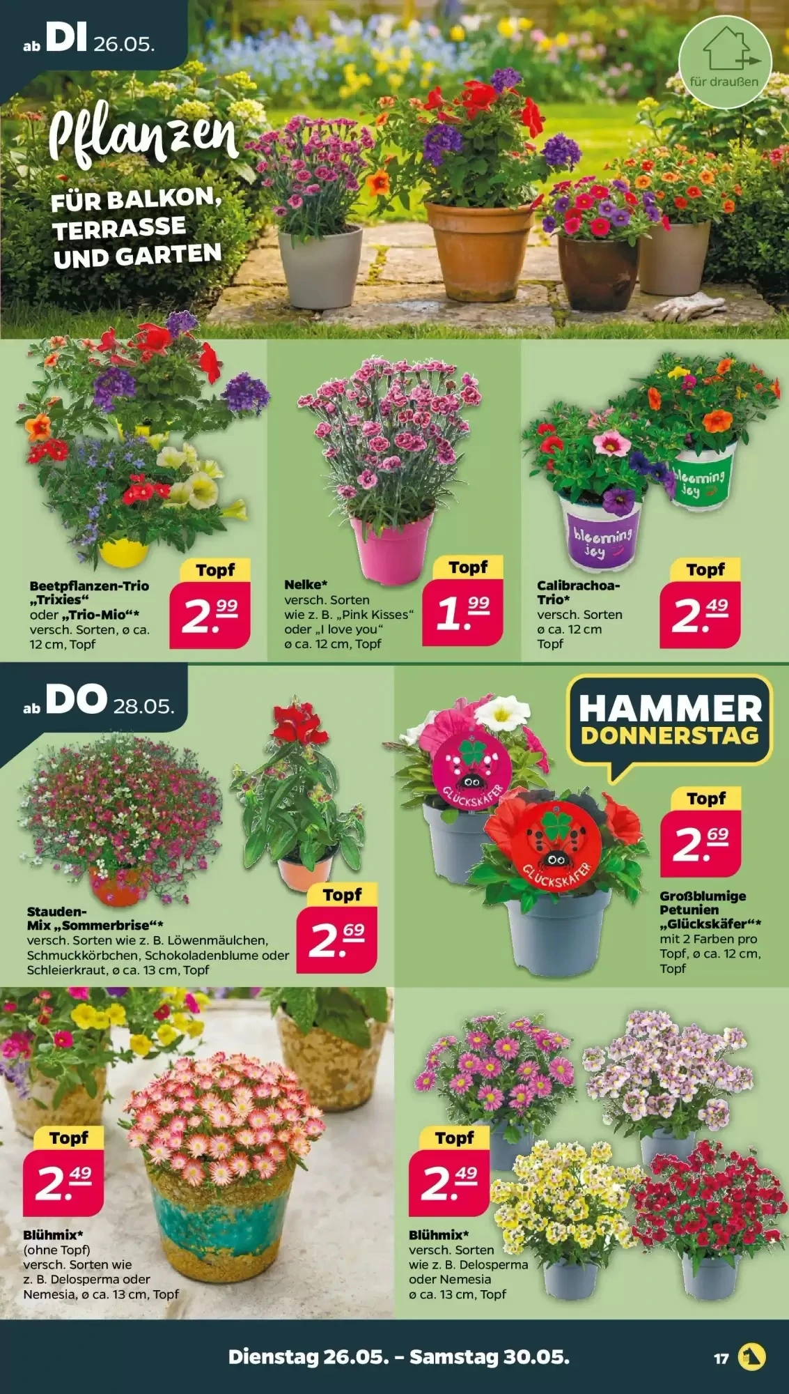 NETTO, Seite 19 von 35