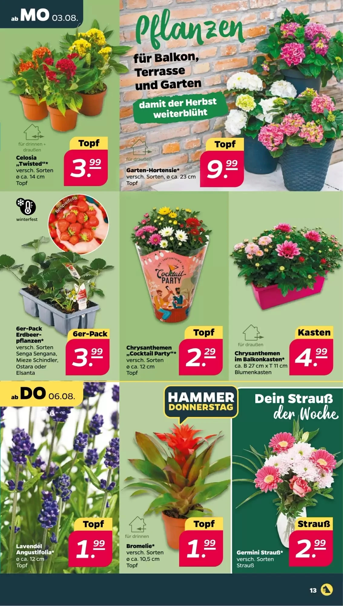 NETTO, Seite 15 von 33