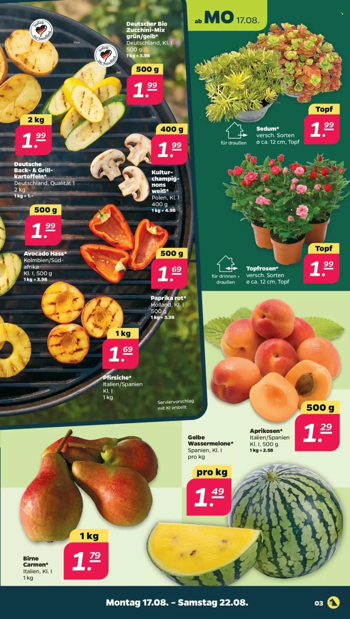 NETTO, Seite 3 von 33
