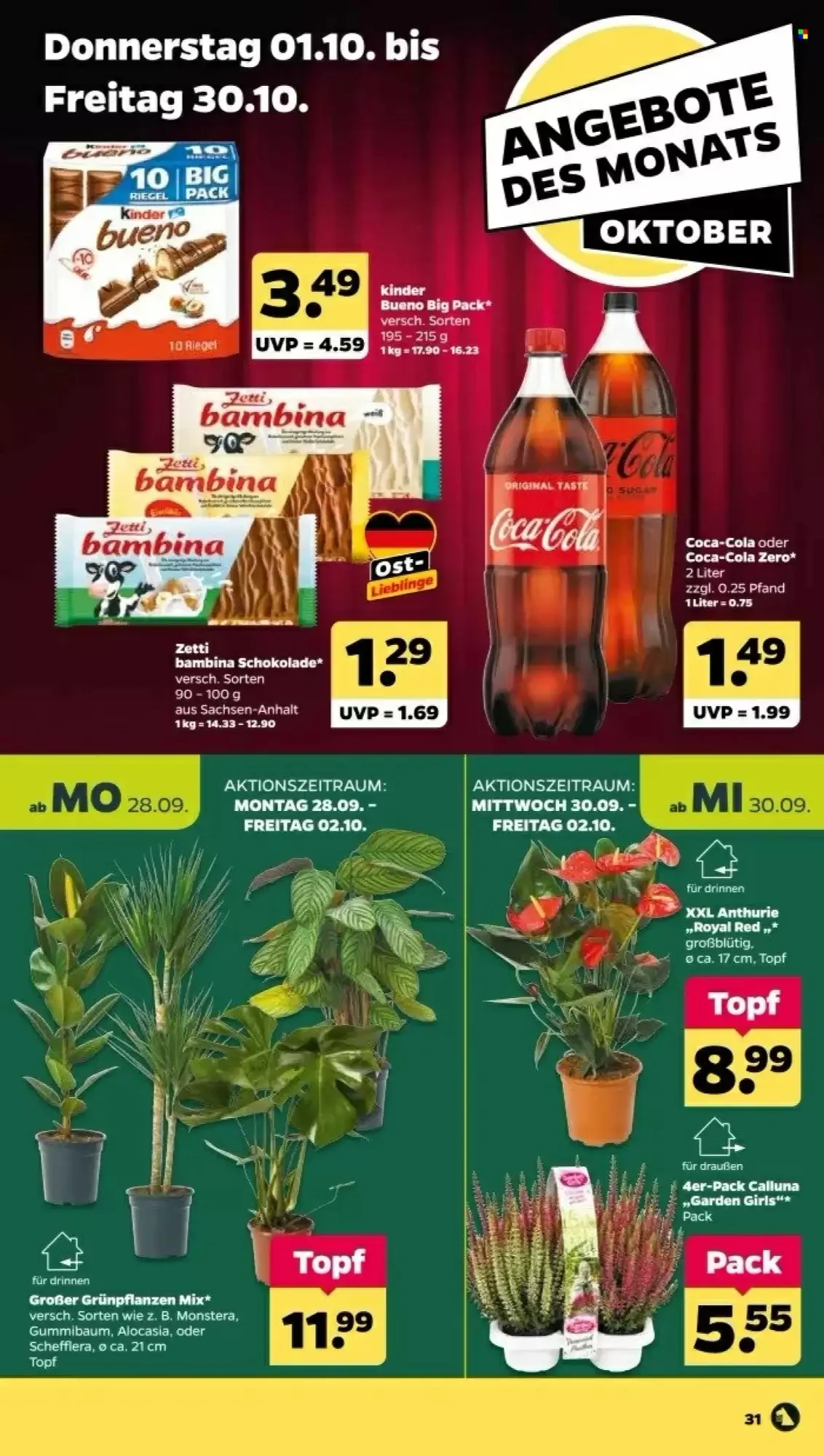 NETTO, Seite 39 von 41
