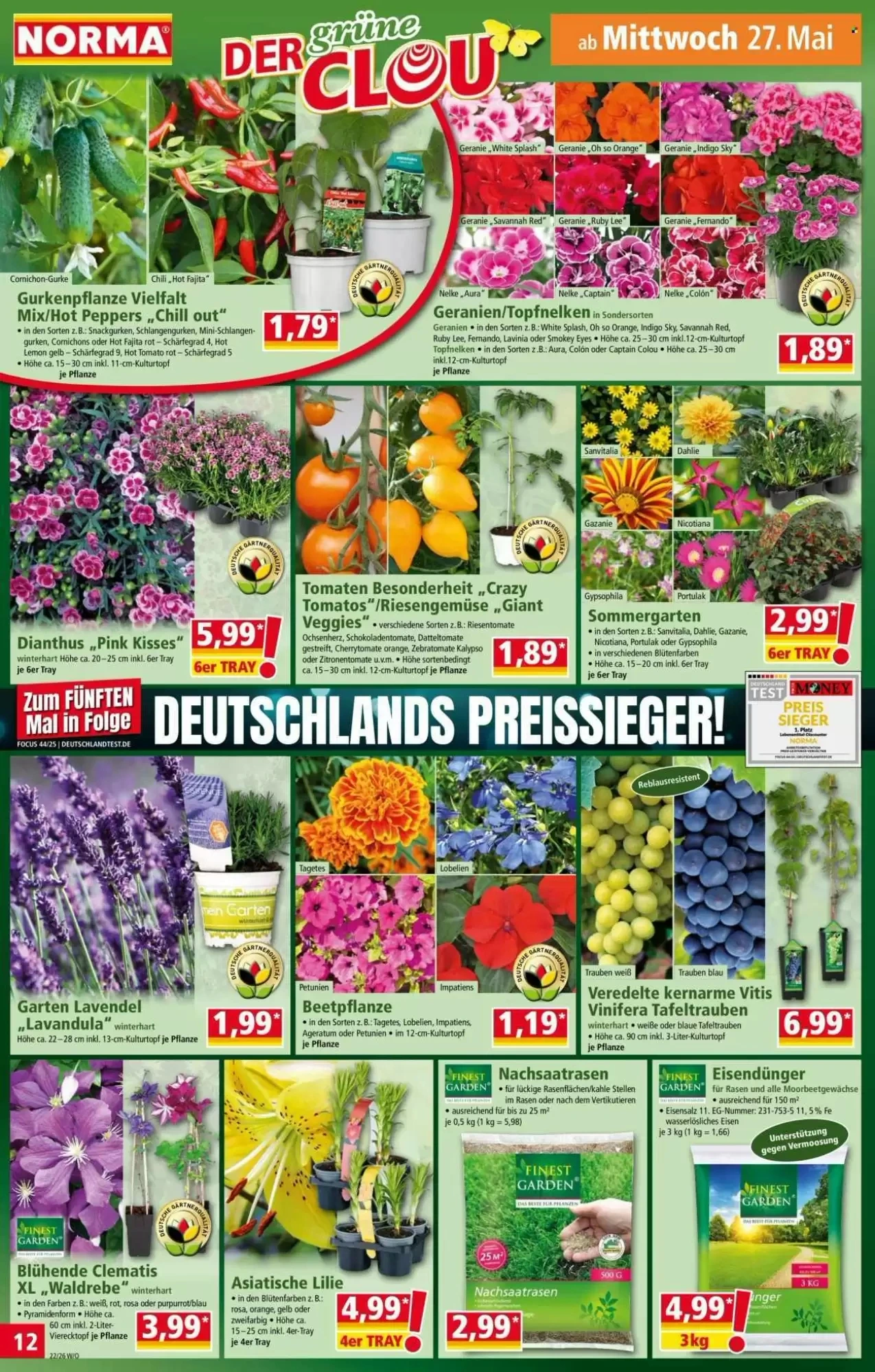 Norma, Seite 12 von 19