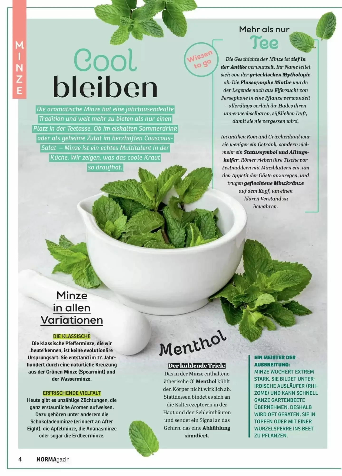 Norma, Seite 4 von 24