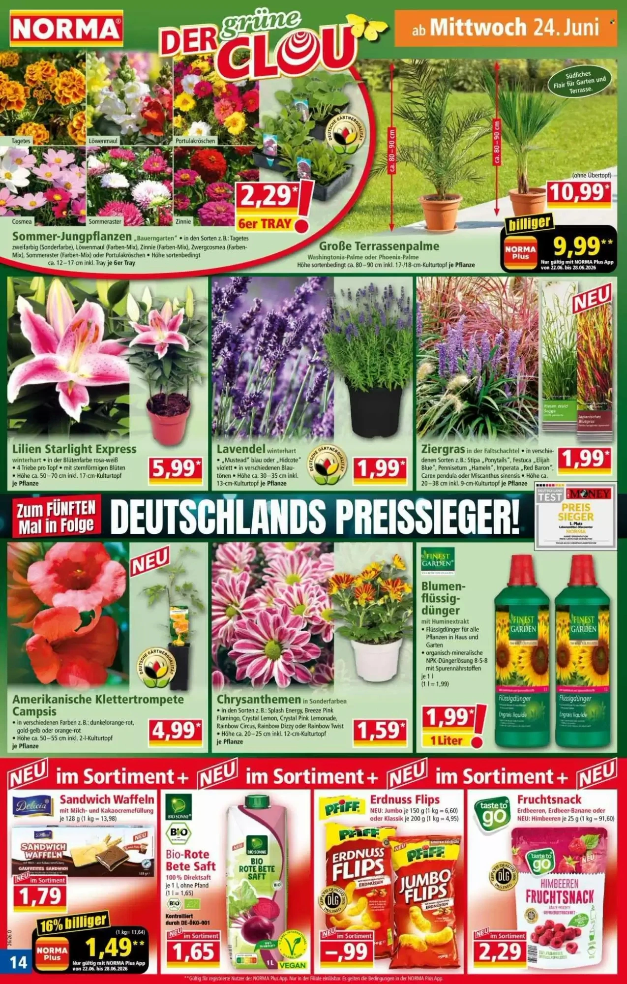 Norma, Seite 14 von 21