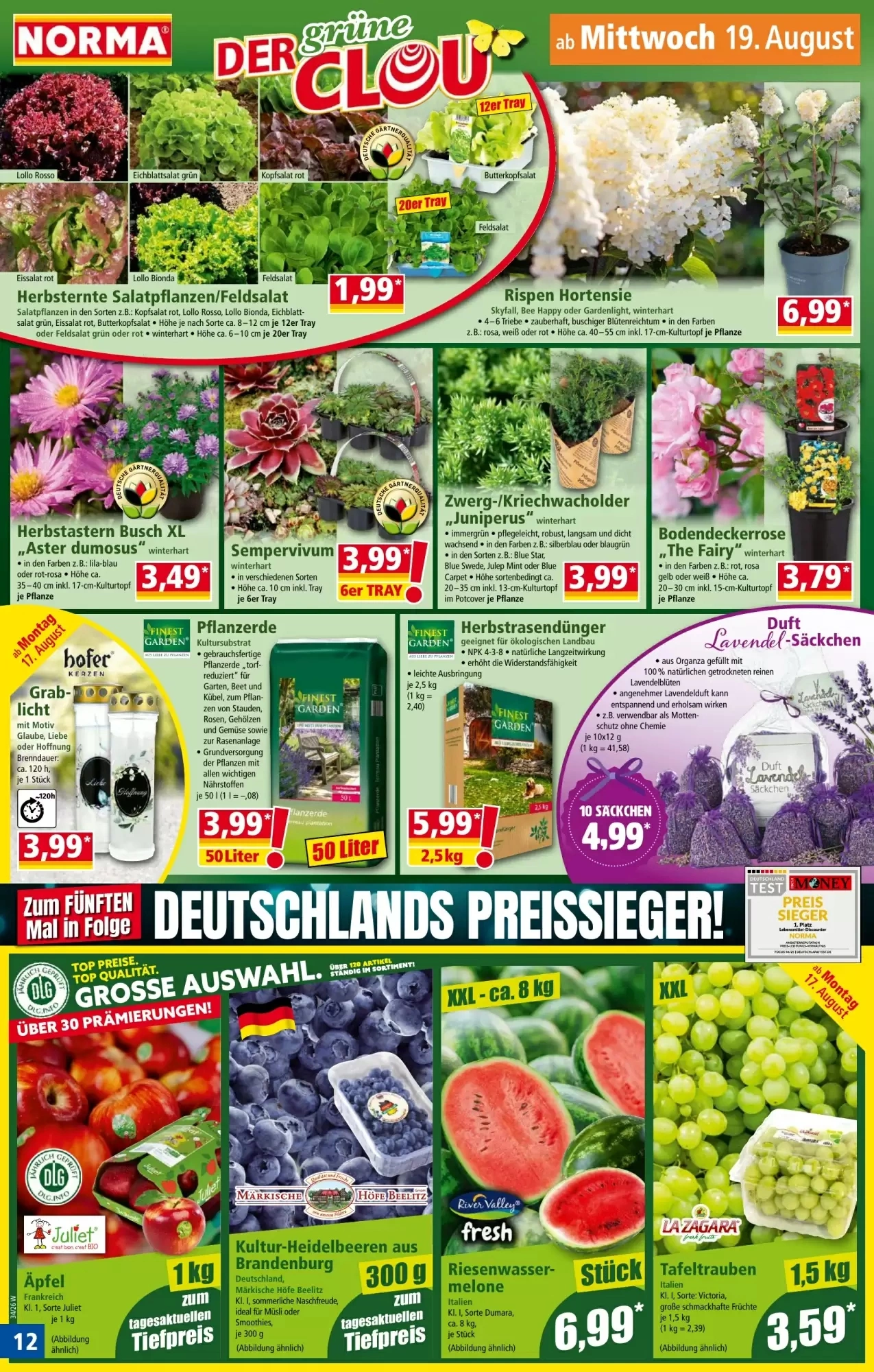 Norma, Seite 12 von 28
