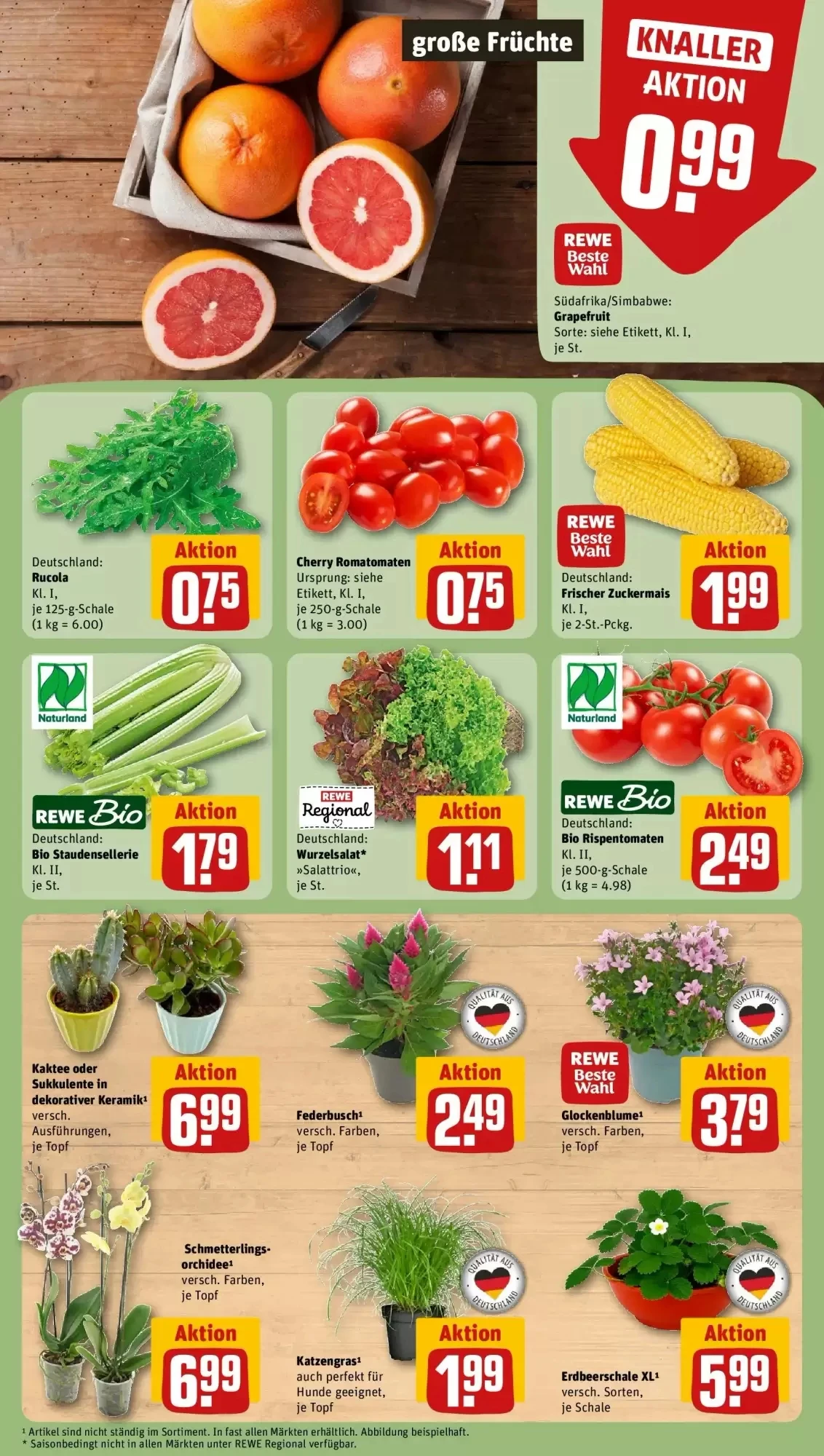 Rewe, Seite 7 von 7