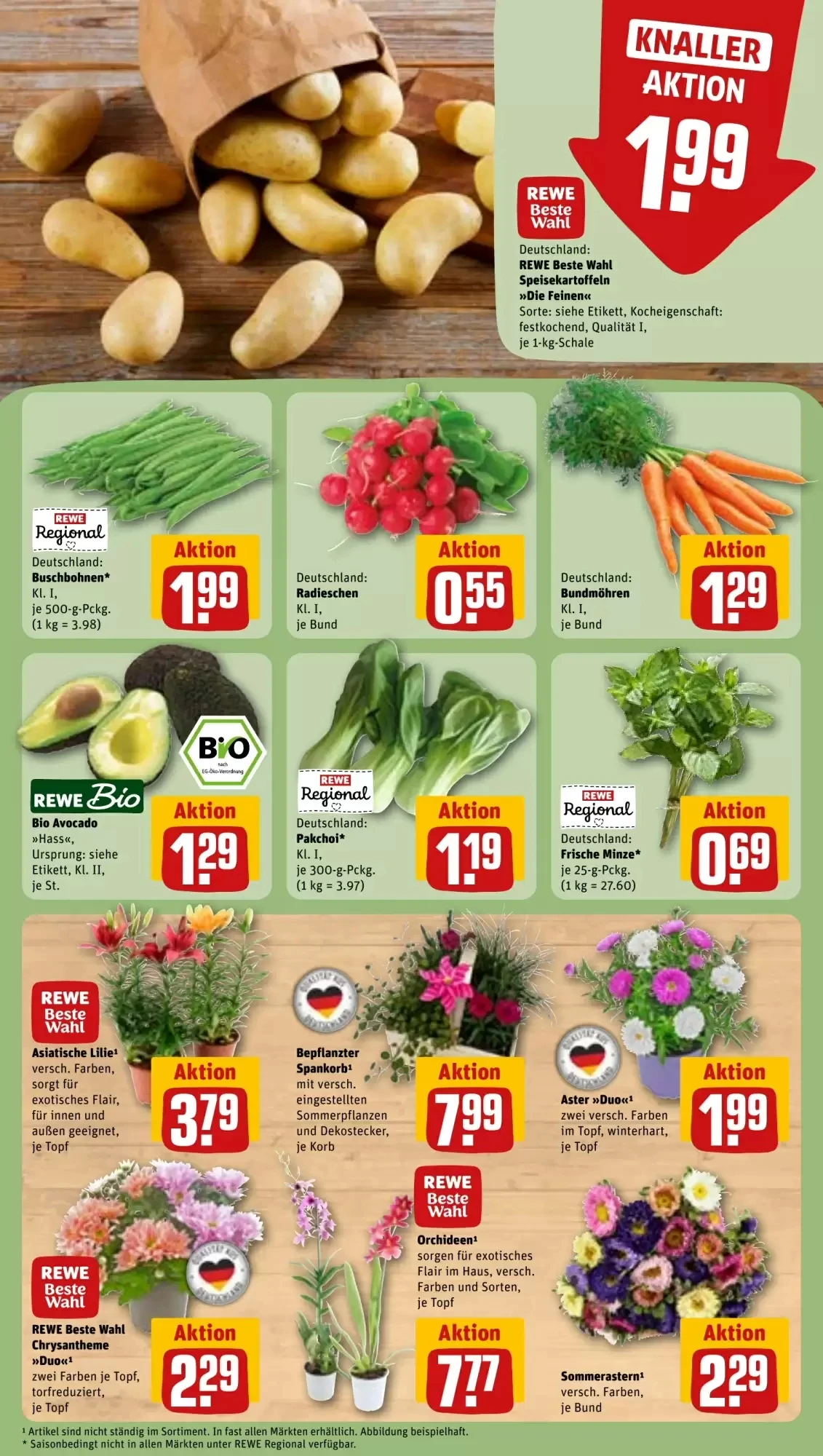 Rewe, Seite 5 von 31