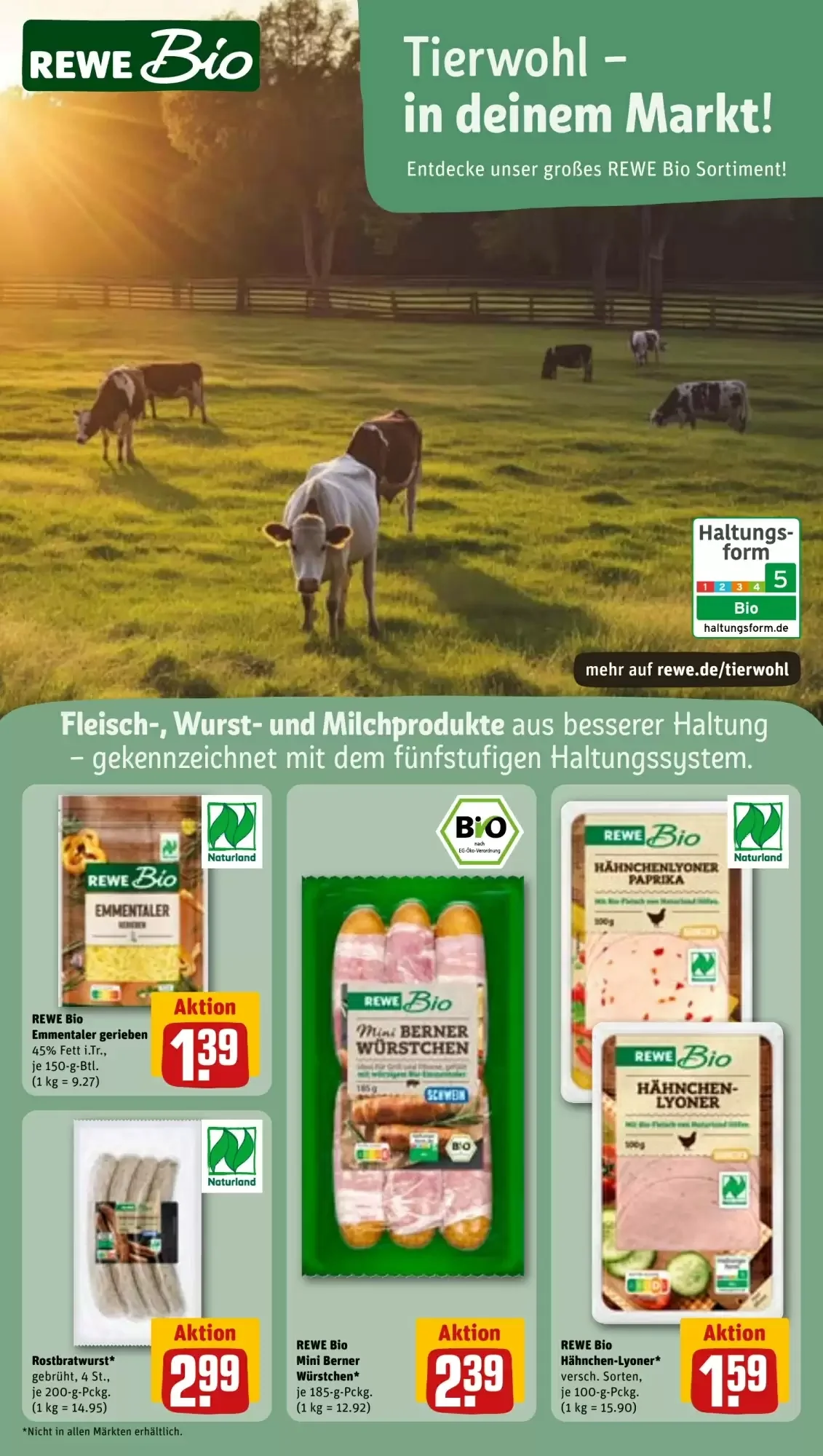 Rewe, Seite 15 von 31