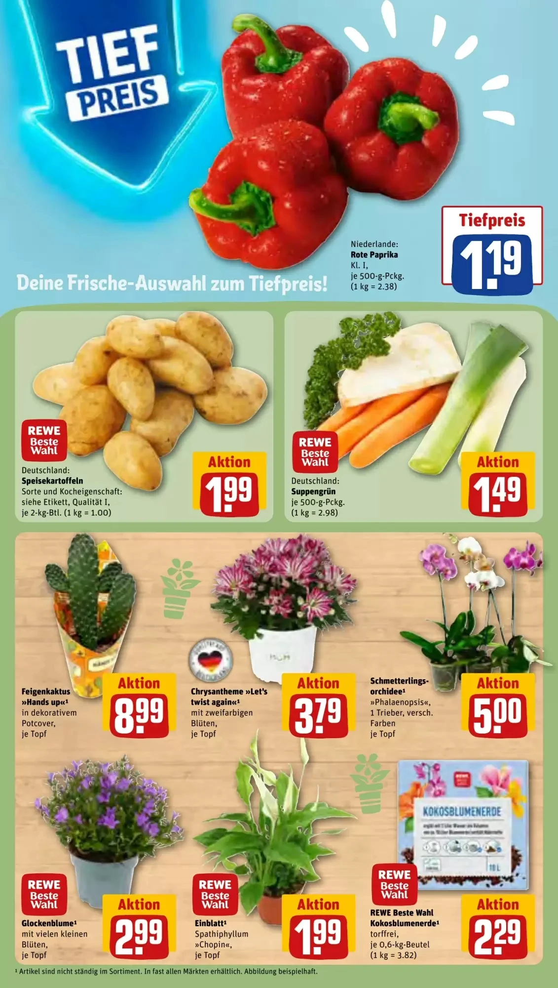 Rewe, Seite 7 von 36