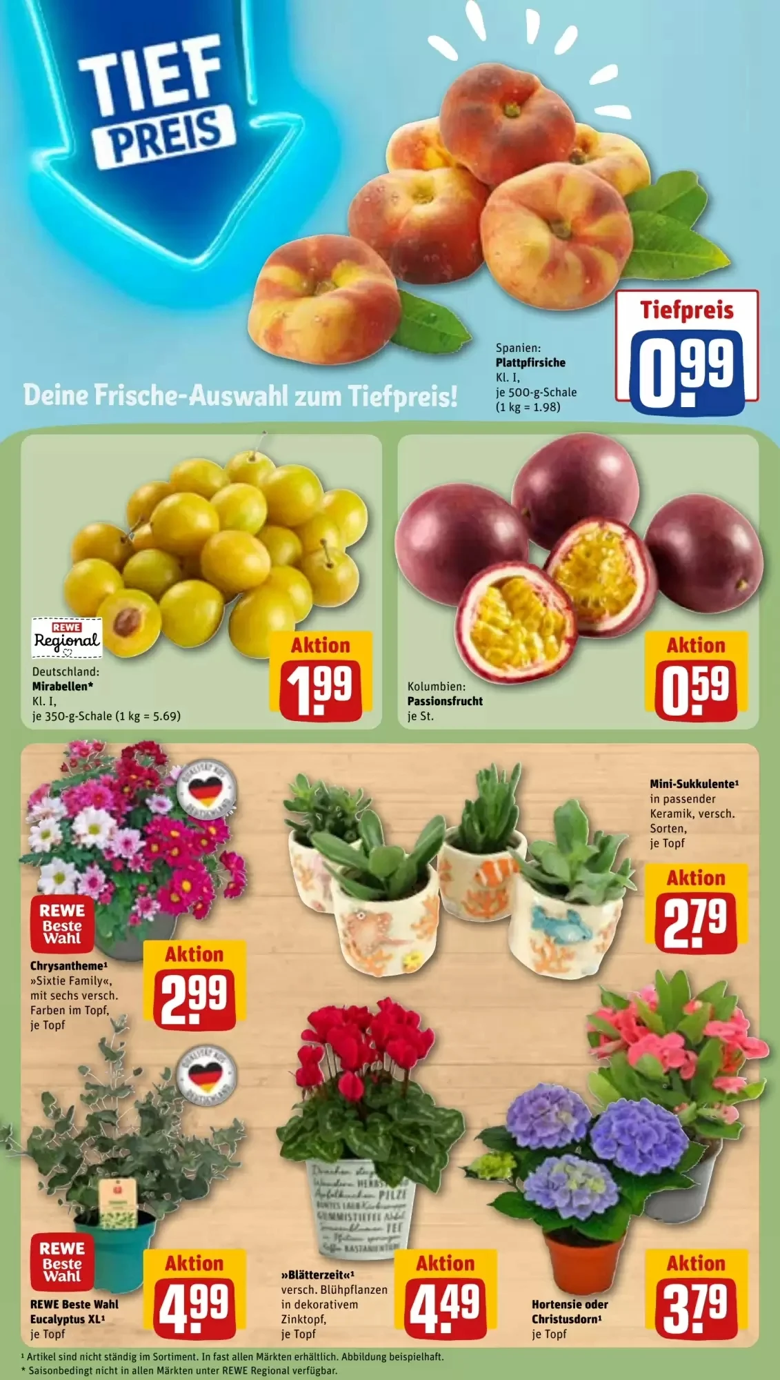Rewe, Seite 7 von 28