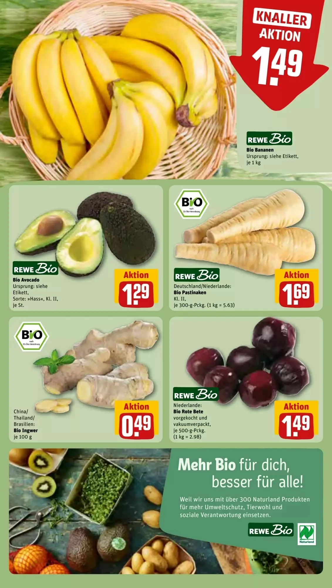 Rewe, Seite 6 von 37