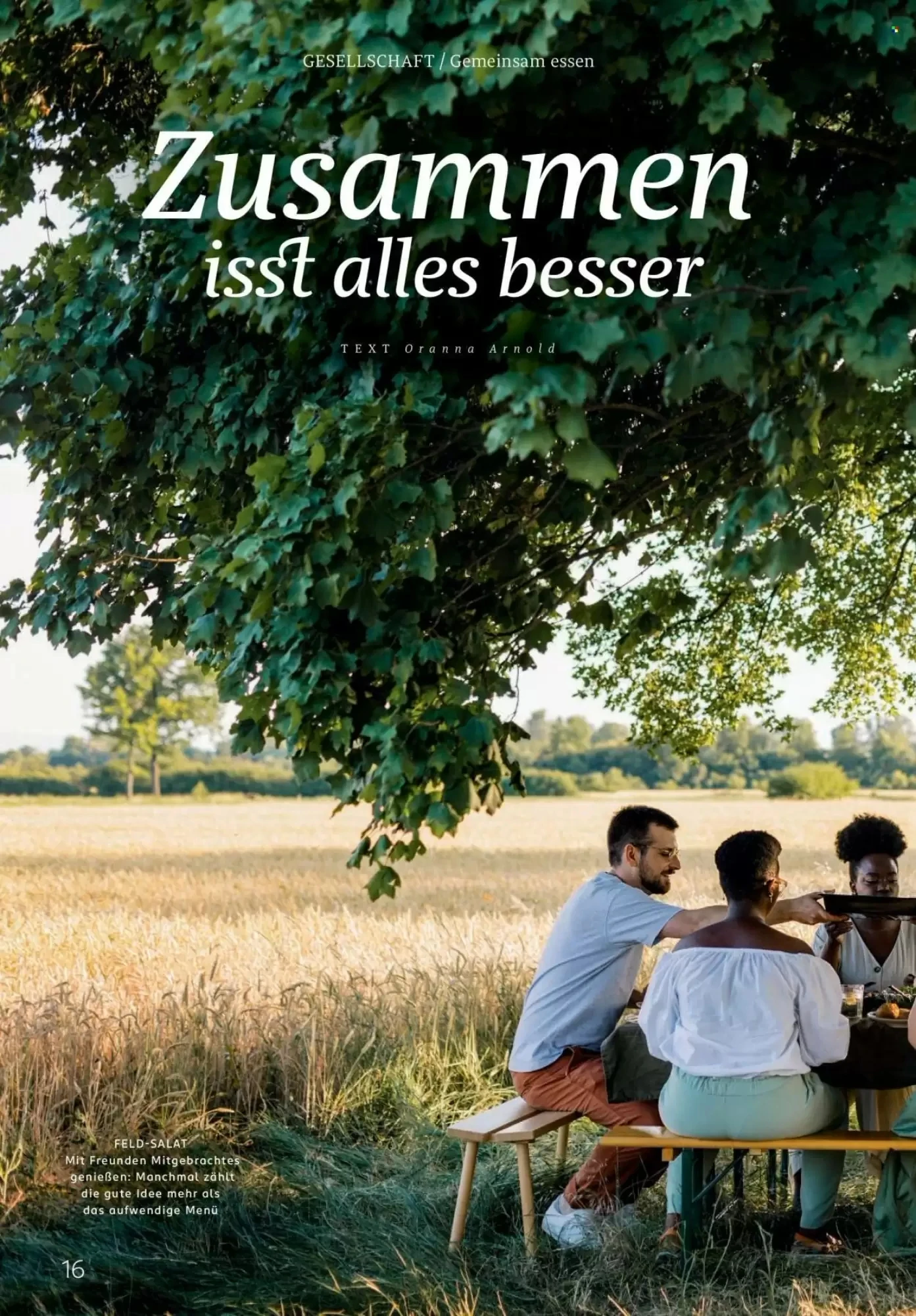Rossmann, Seite 16 von 108