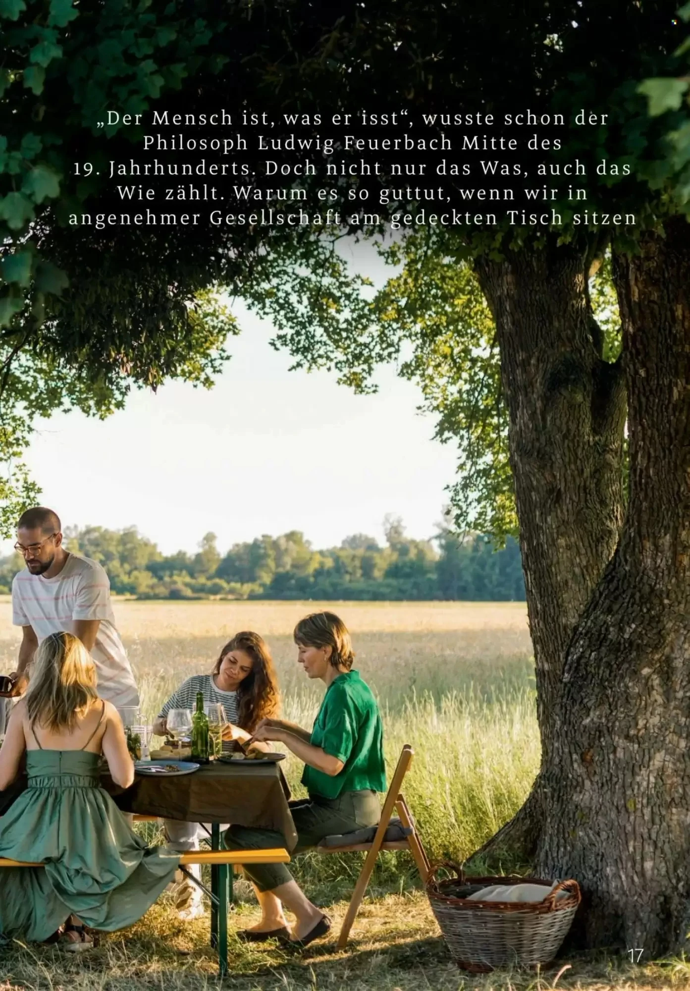 Rossmann, Seite 17 von 108