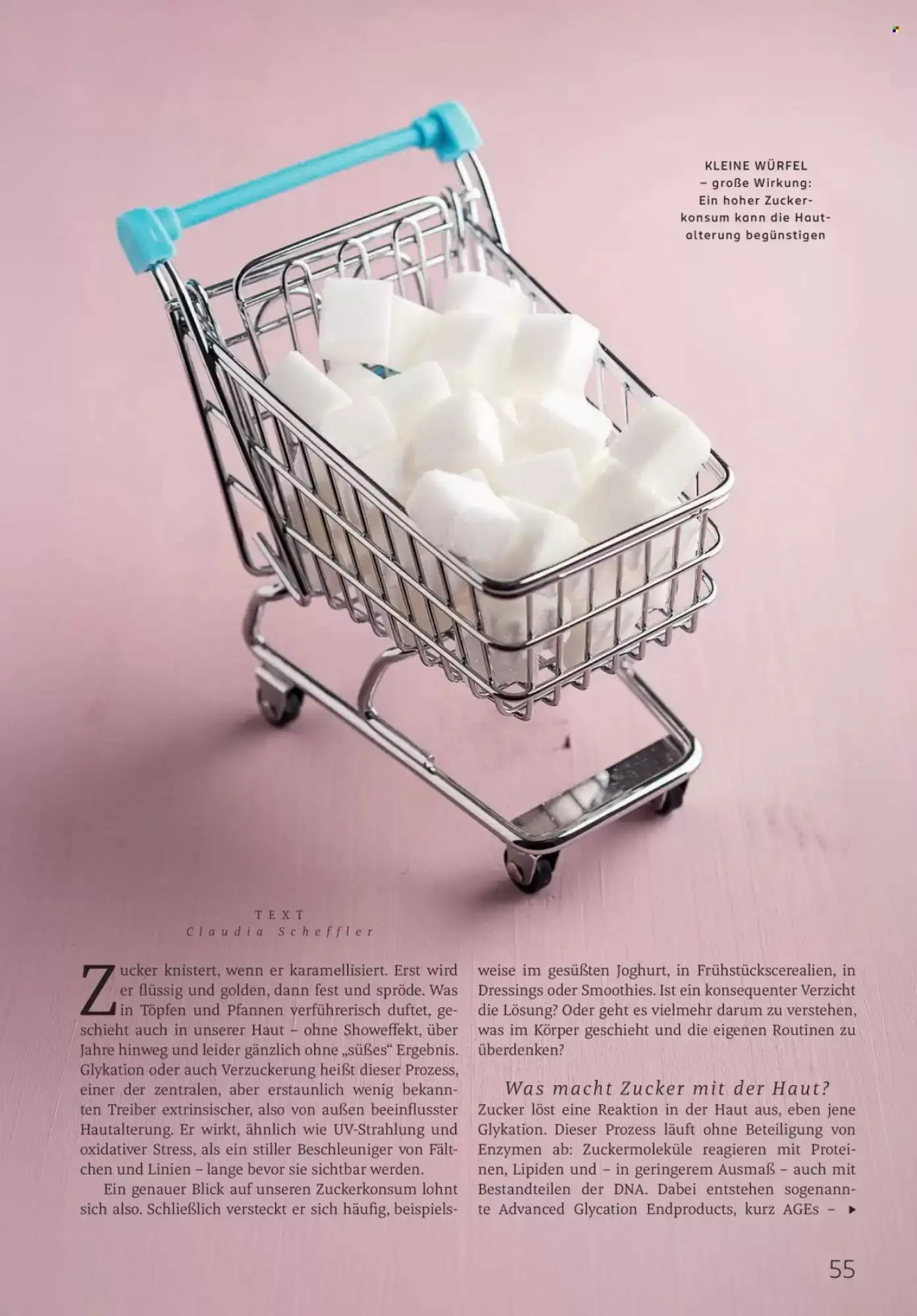 Rossmann, Seite 55 von 108