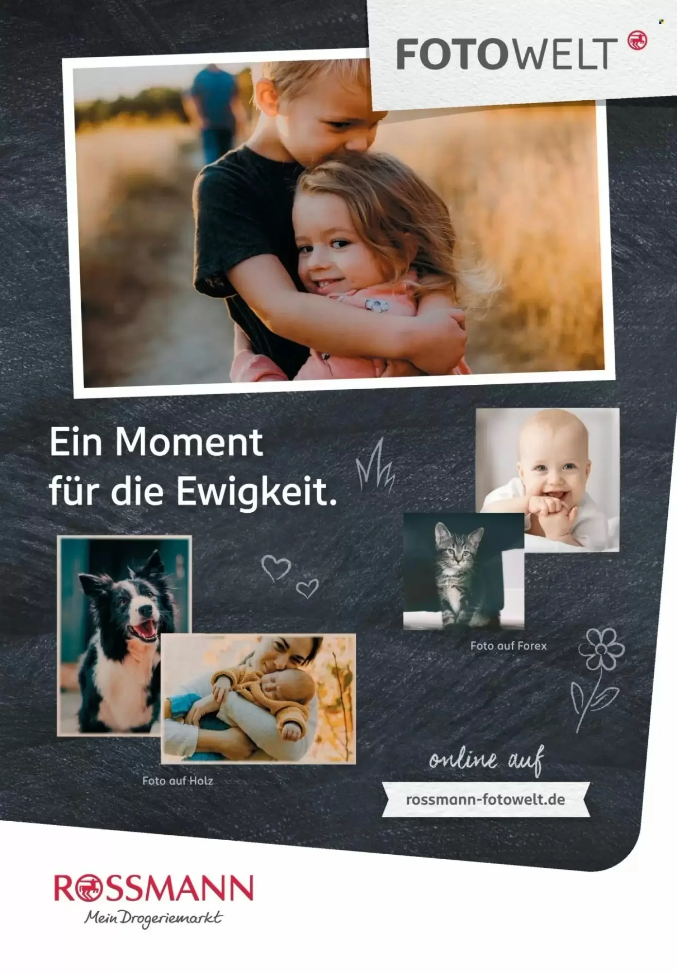 Rossmann, Seite 85 von 108
