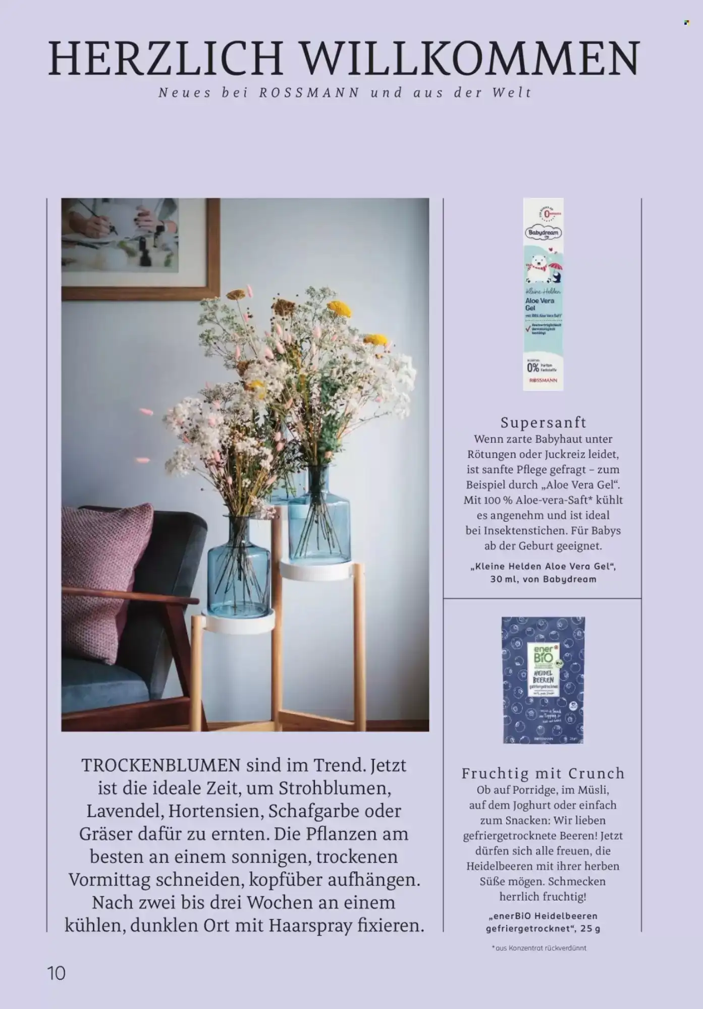 Rossmann, Seite 10 von 108