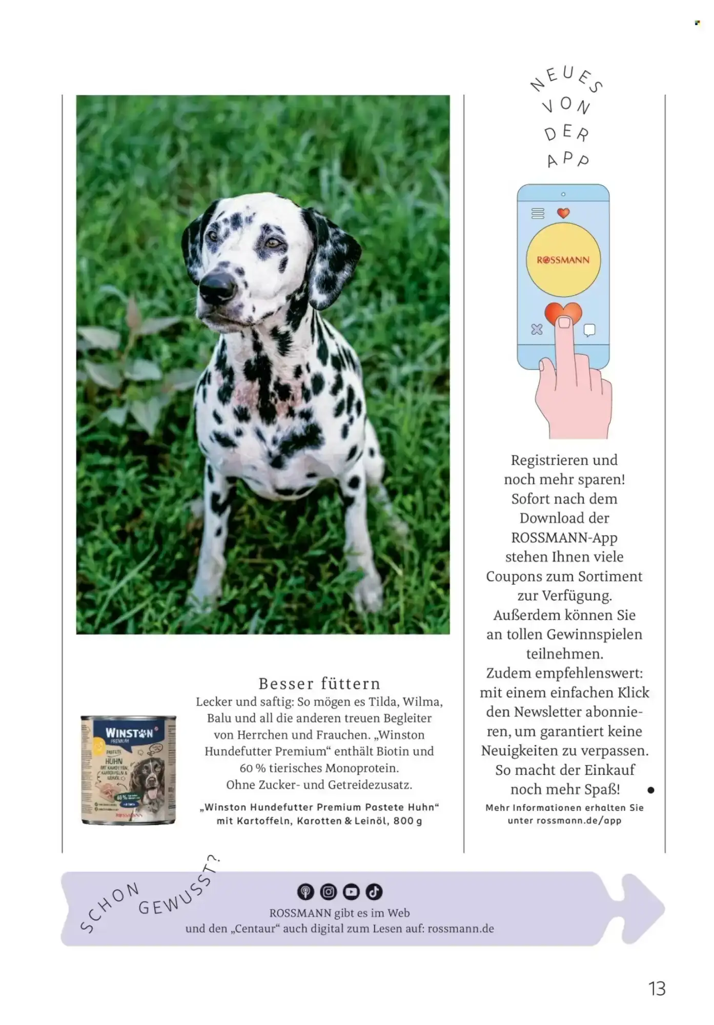 Rossmann, Seite 13 von 108