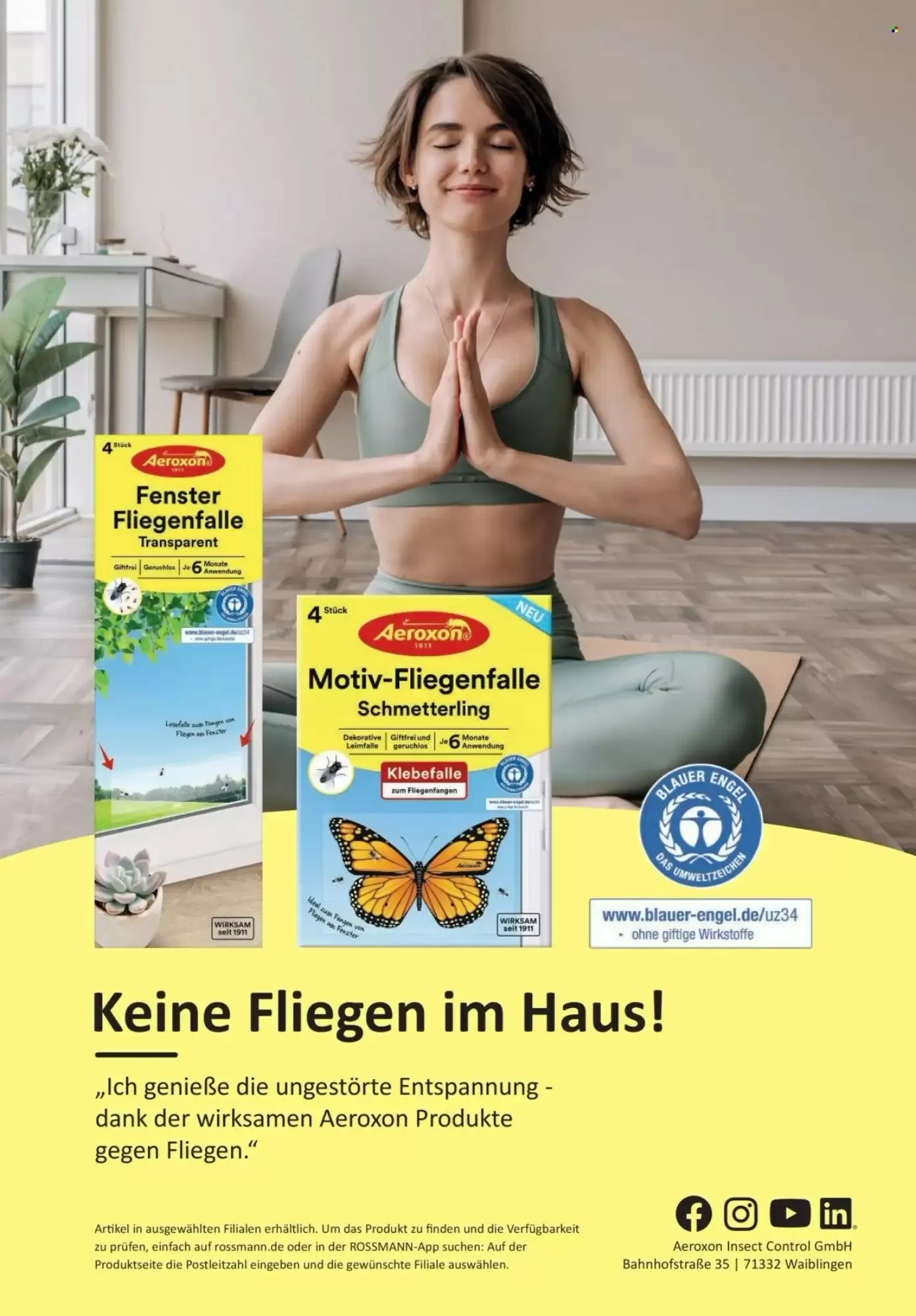 Rossmann, Seite 65 von 108