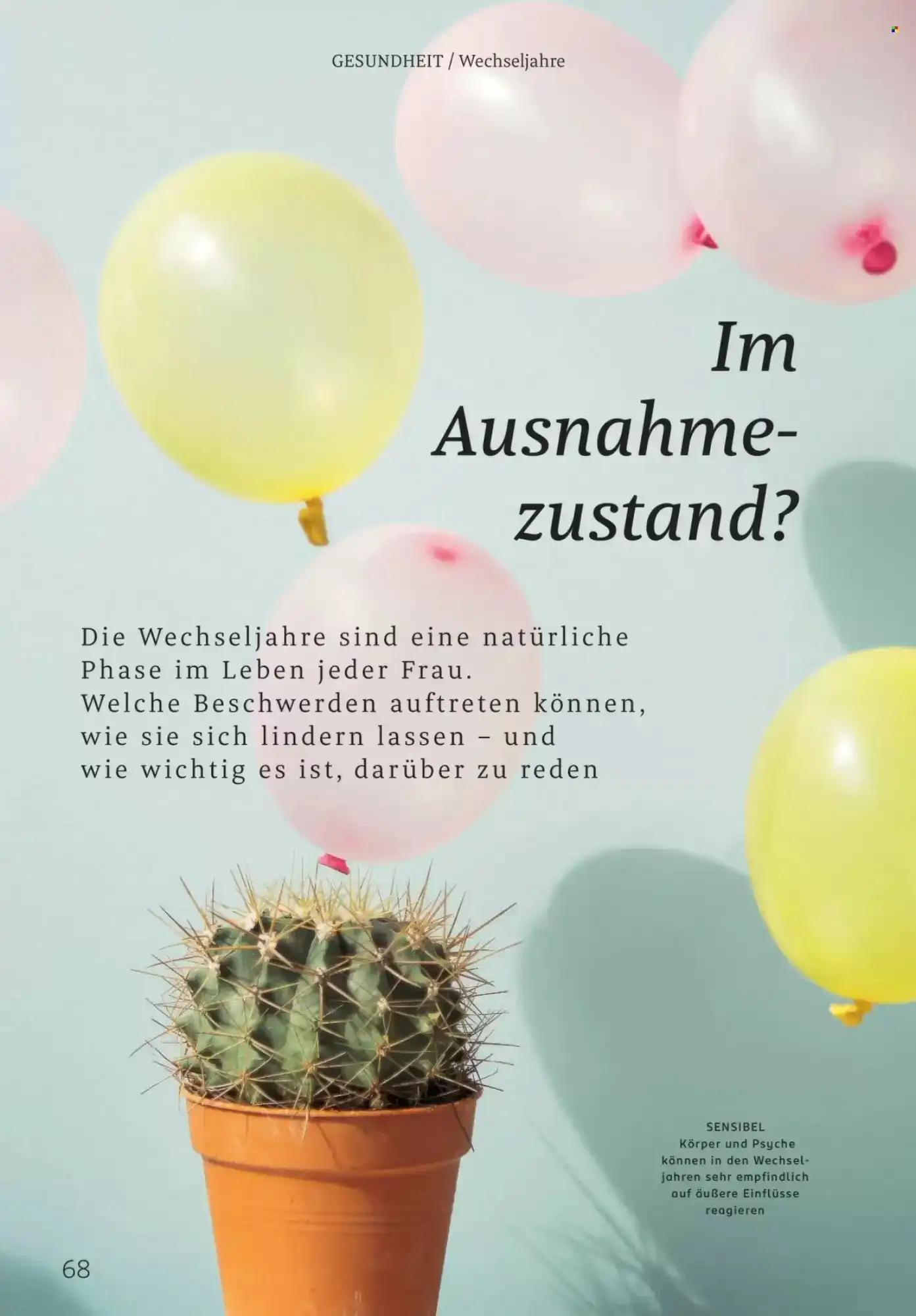 Rossmann, Seite 68 von 108